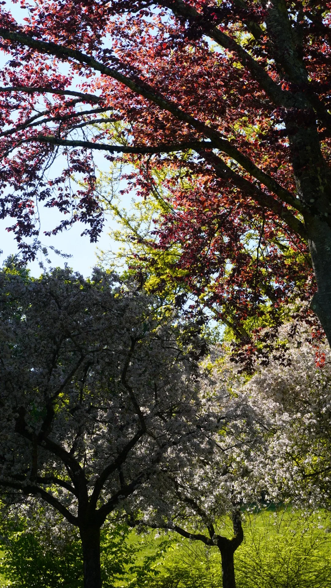 image00014.jpeg