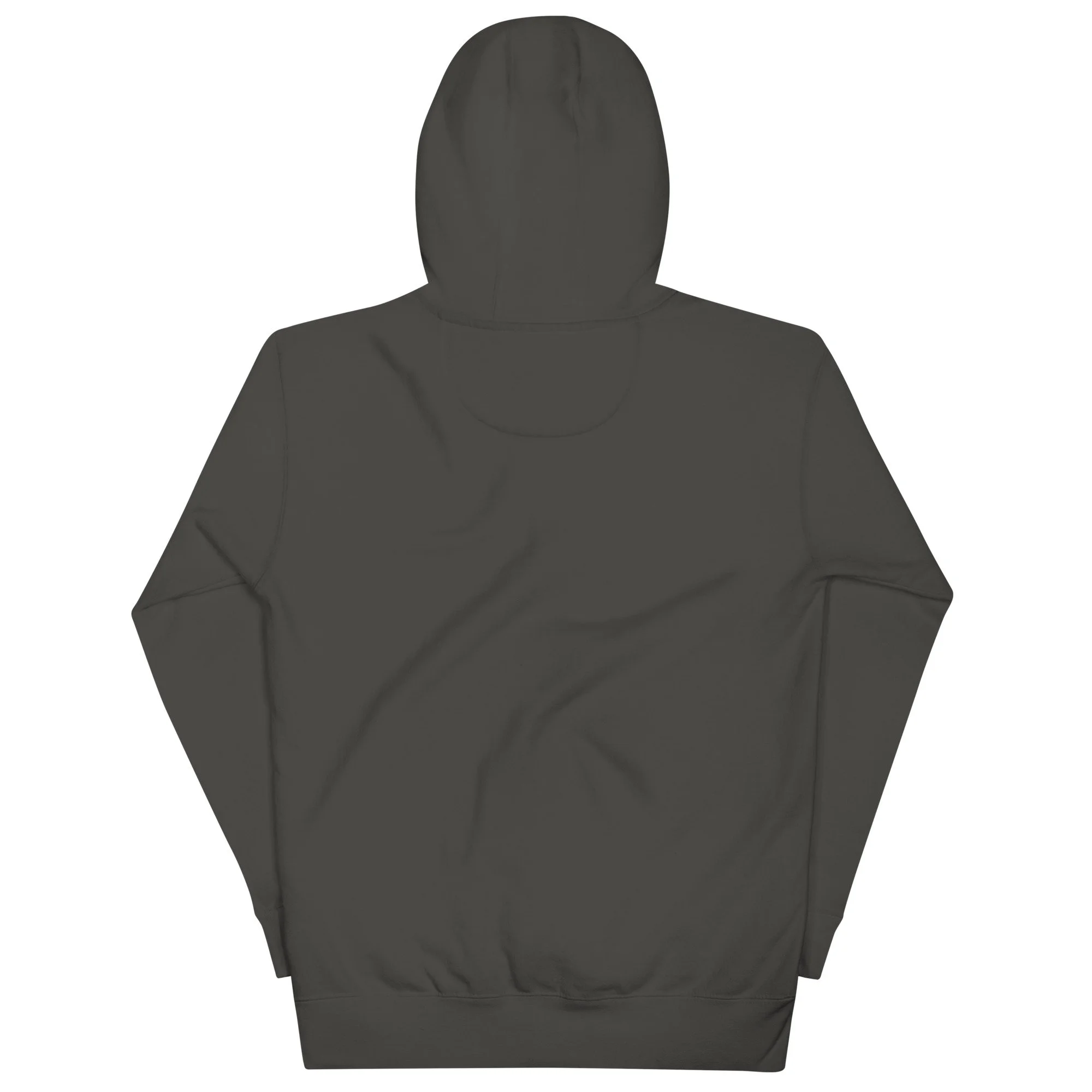 unisex-premium-pullover-hoodie-vintage-black-back-6a16097b8b0f2.jpg