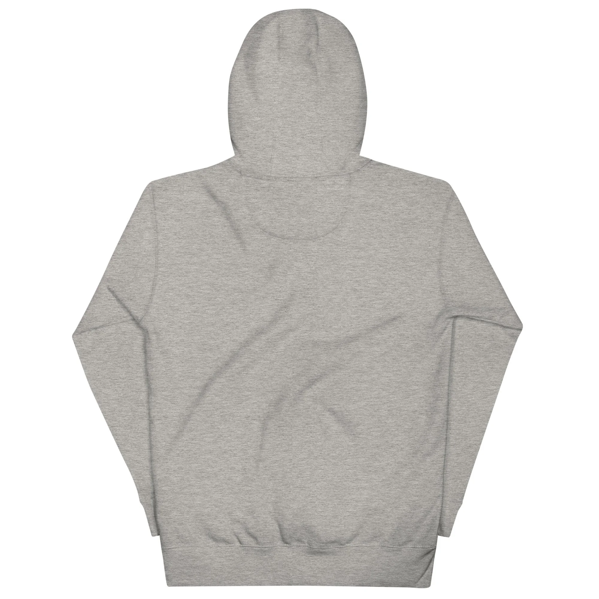unisex-premium-pullover-hoodie-carbon-grey-back-6a16097b91f60.jpg