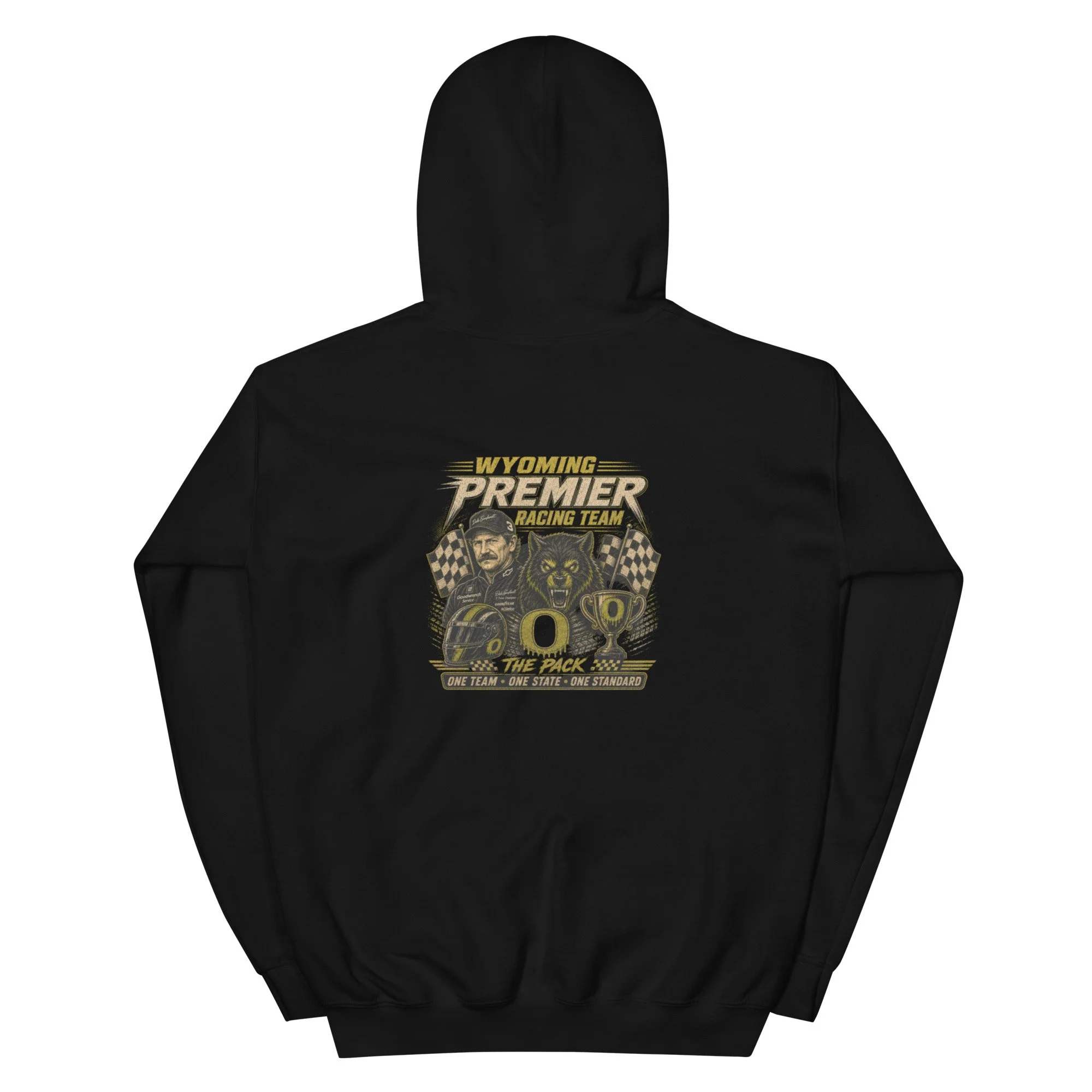 unisex-heavy-blend-hoodie-black-back-6a1b3c9ba0147.jpg