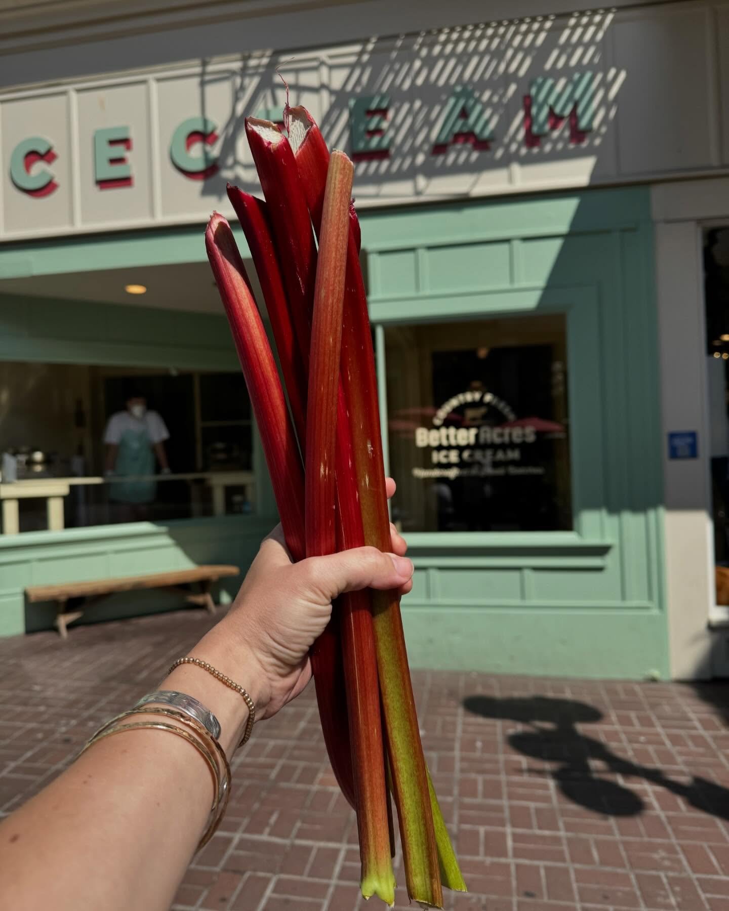 Forget hot girl summer: I want rhubarb girl summer. 
Slow batches of simple syrup simmered to send scent through the whole home. Enough jars of this and more than enough of that from the garden for my neighbours. Slow enough to be seduced by senses a