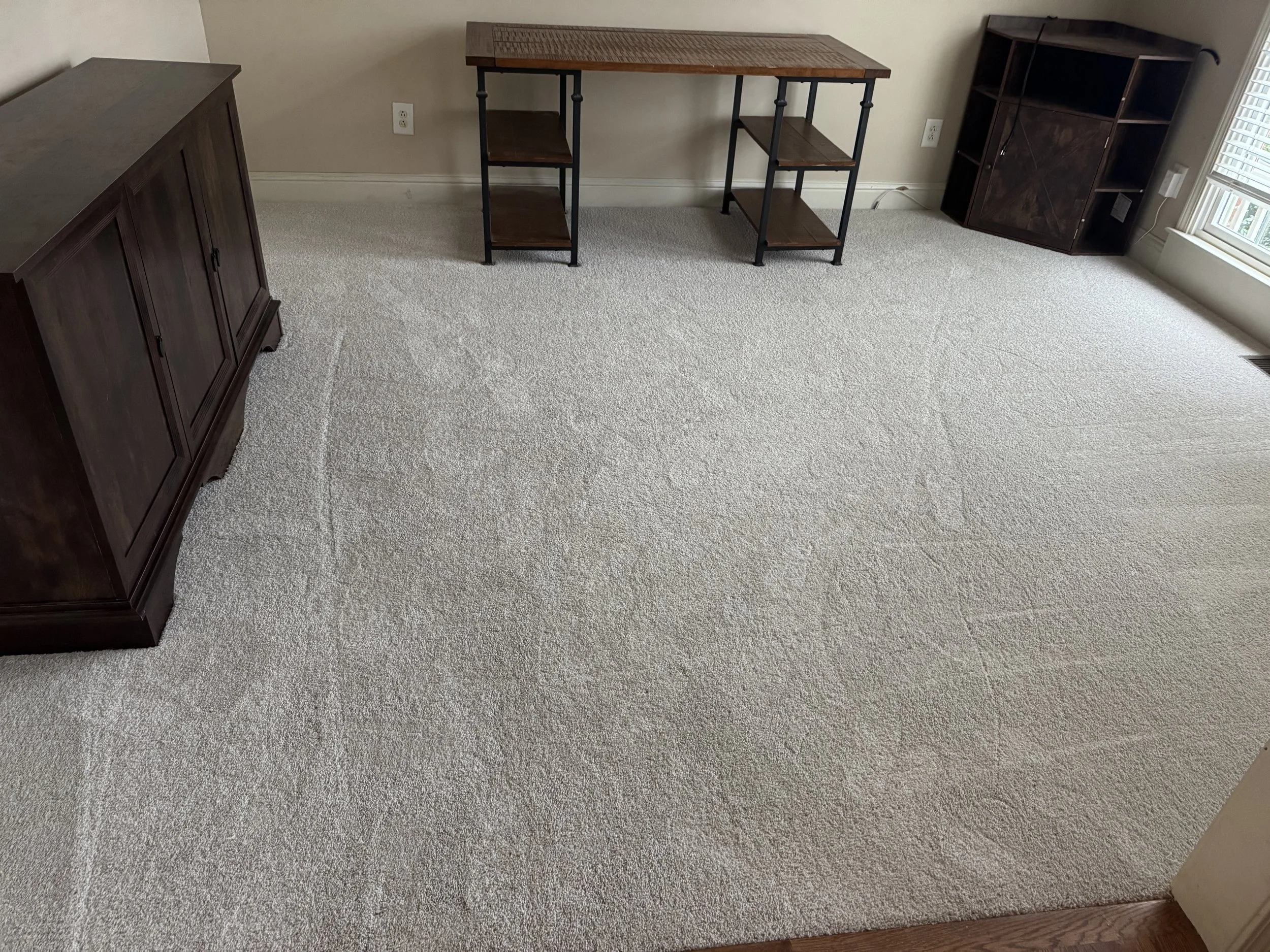 CARPET