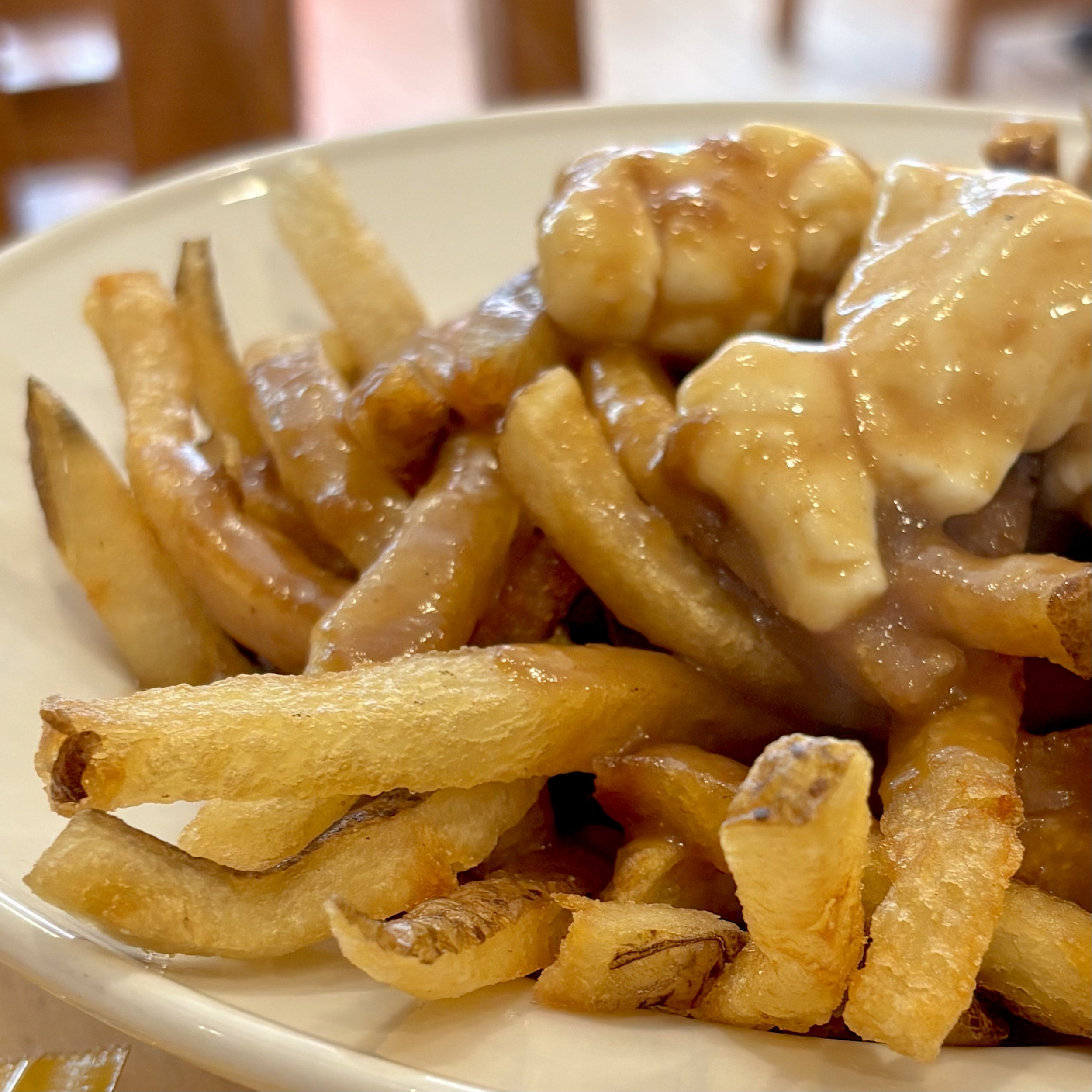 Close-up of a white bowl filled with crispy French fries, gravy and cheese,  an authentic poutine