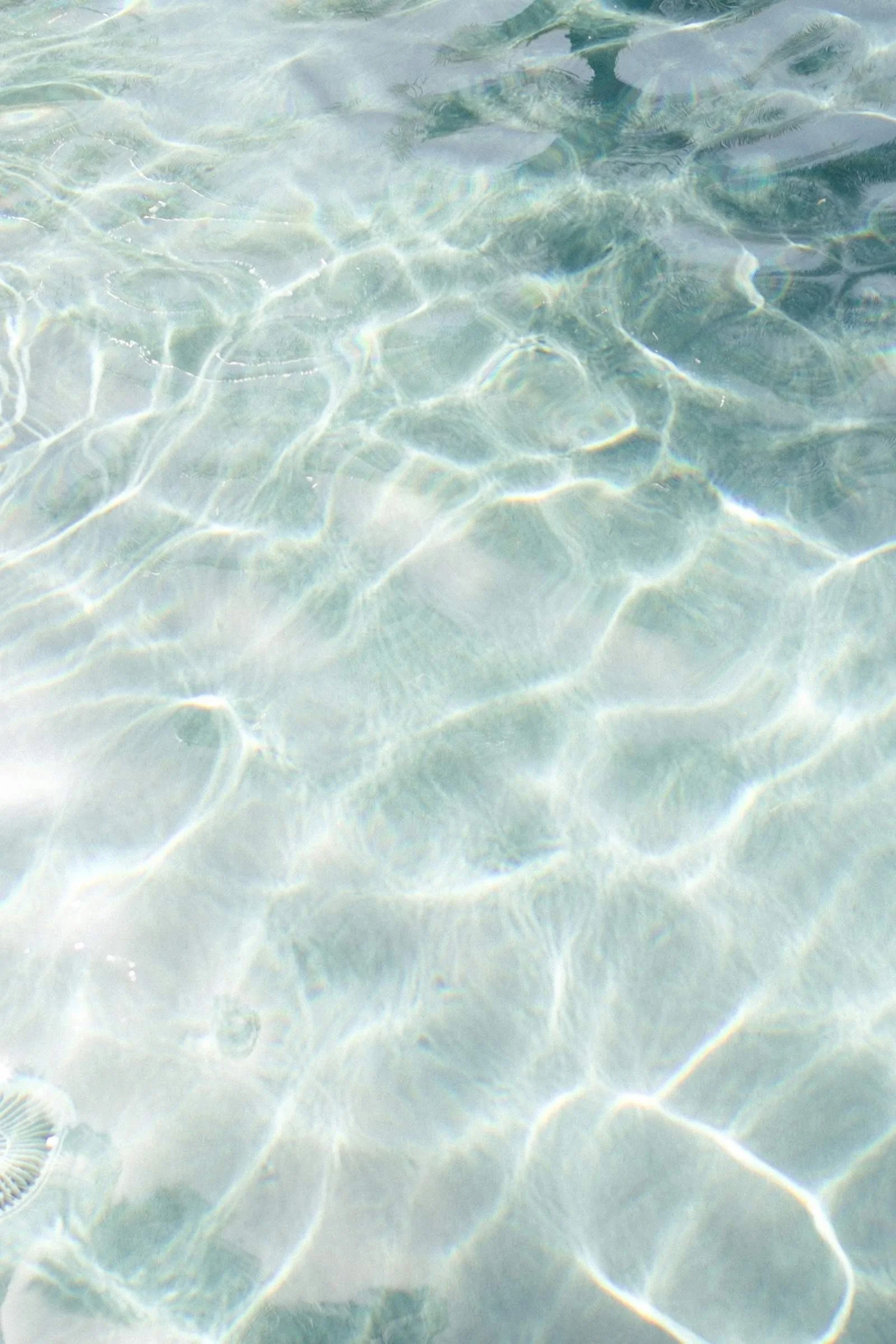 Sunlight reflections rippling across clear shallow water in soft blue tones.