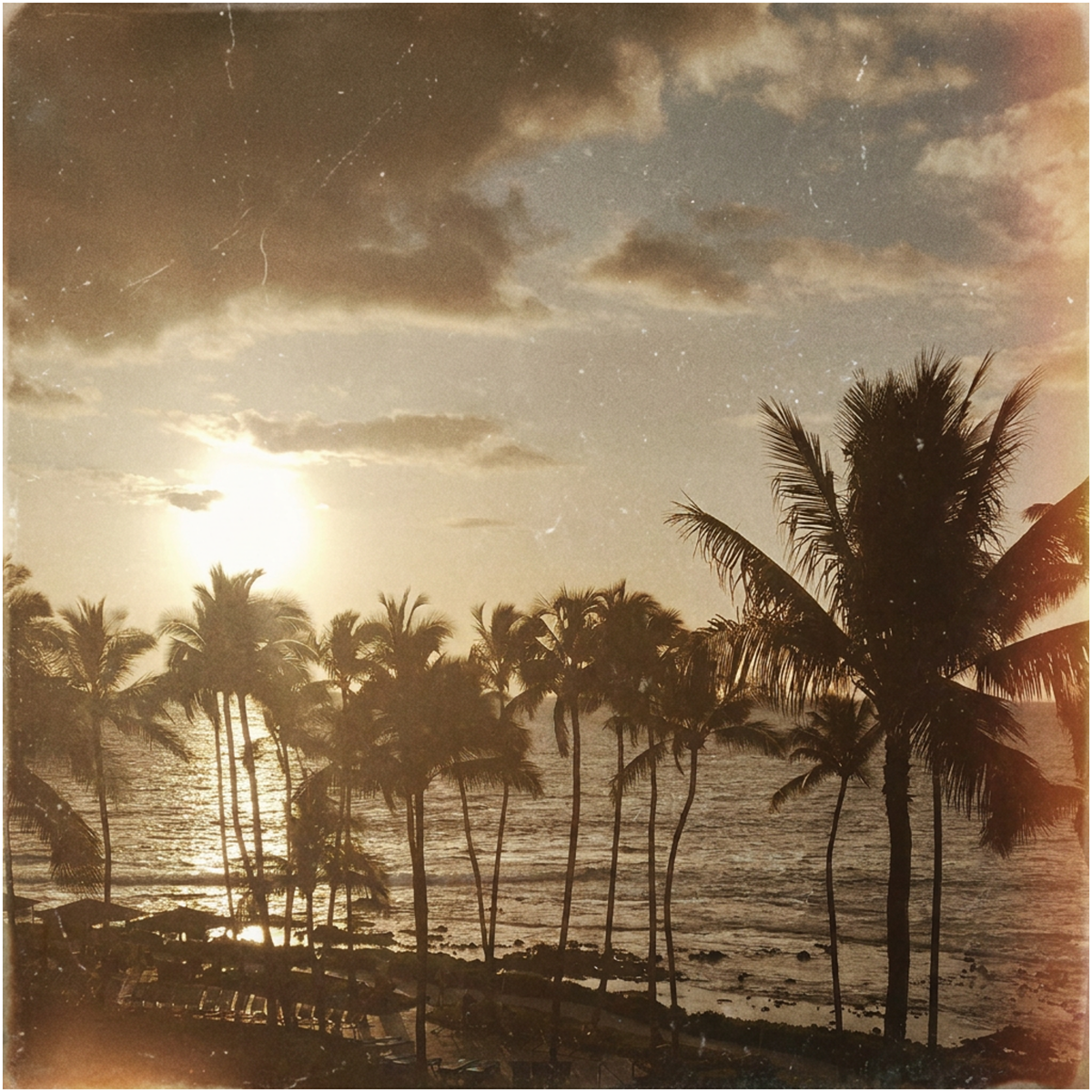 Sunset over a beach with palm trees and the ocean in the background.