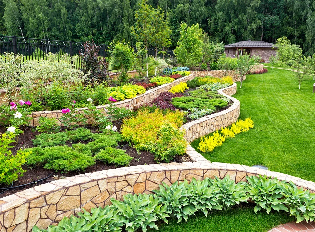 Colorful garden with stone retaining walls, various green plants, flowering shrubs, and neatly mowed lawn with trees in the background.