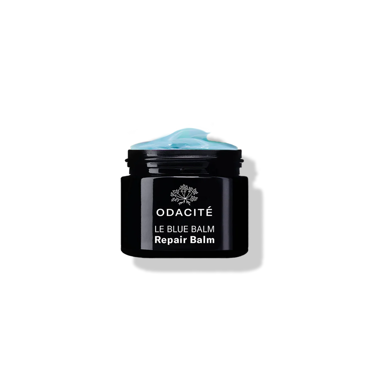 LeBlueBalm.png.webp
