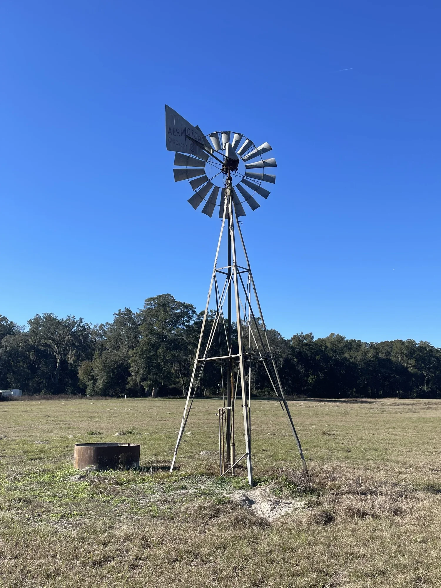 Windmill.webp