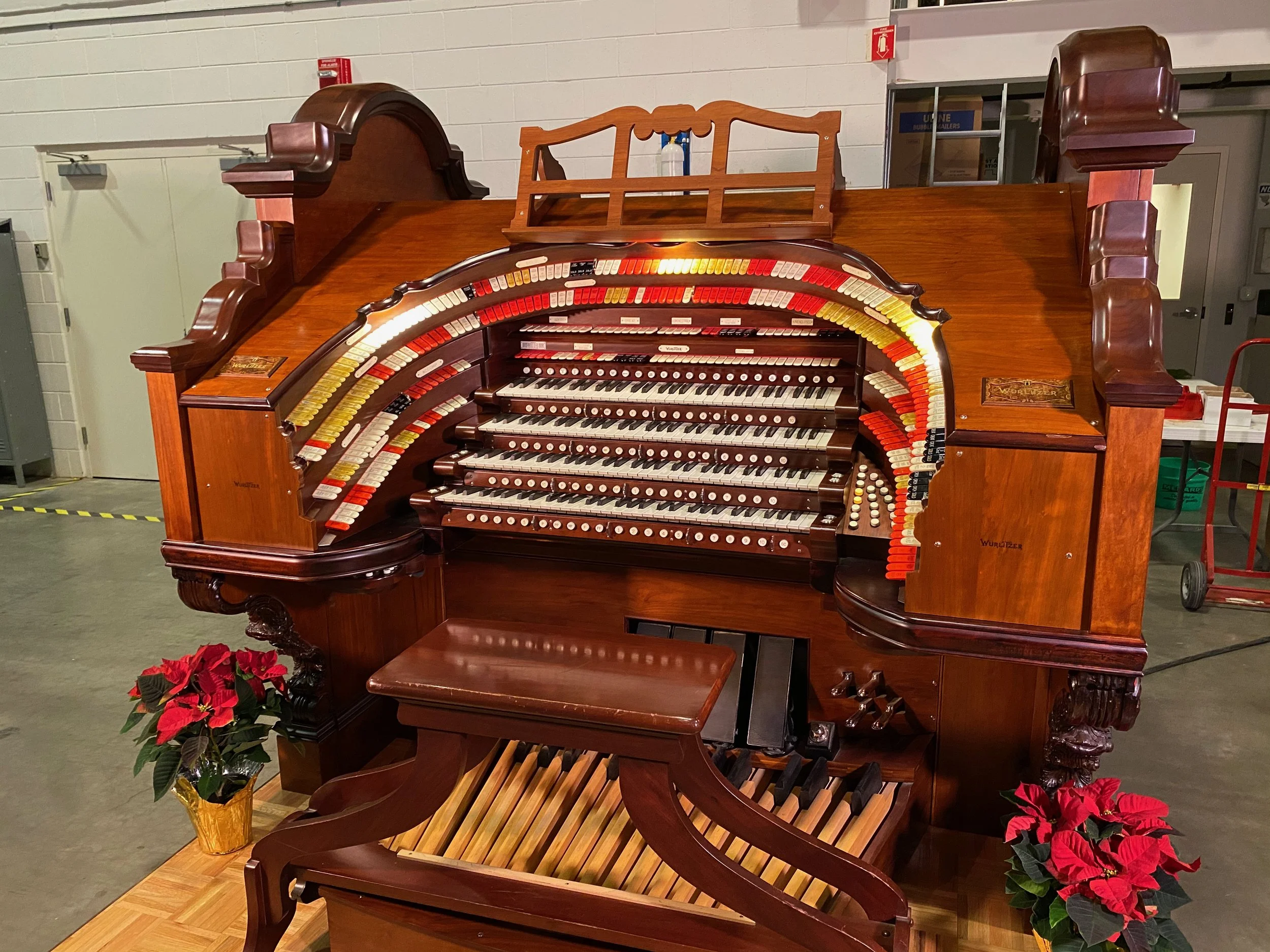 A wooden pipe organ with multiple tiers of keys and colorful stops on the sides, decorated with poinsettia plants, in a room with gray walls and fluorescent lighting.