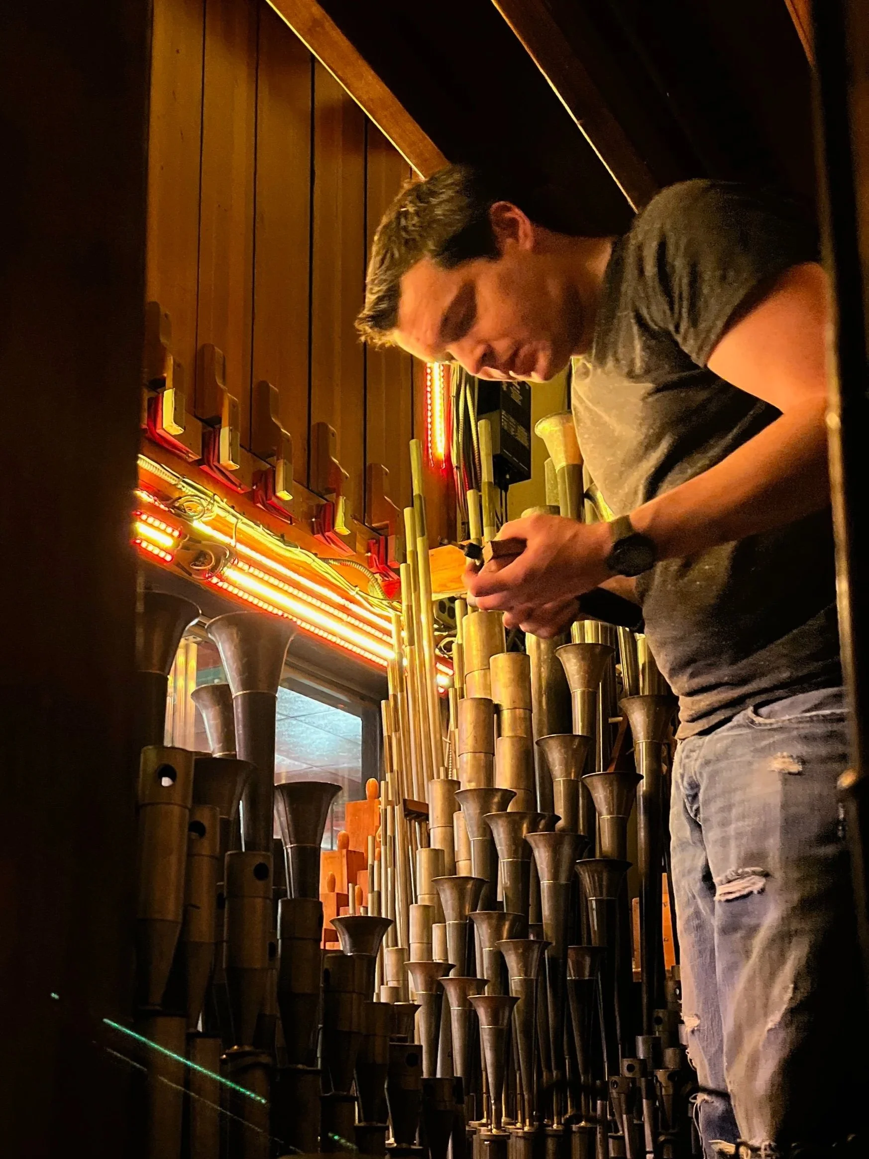 A young man with dark, wavy hair and wearing a gray T-shirt and ripped jeans is standing next to a variety of organ pipes. The wall behind him is lined with pipes, swell shutters and low-voltage lighting.