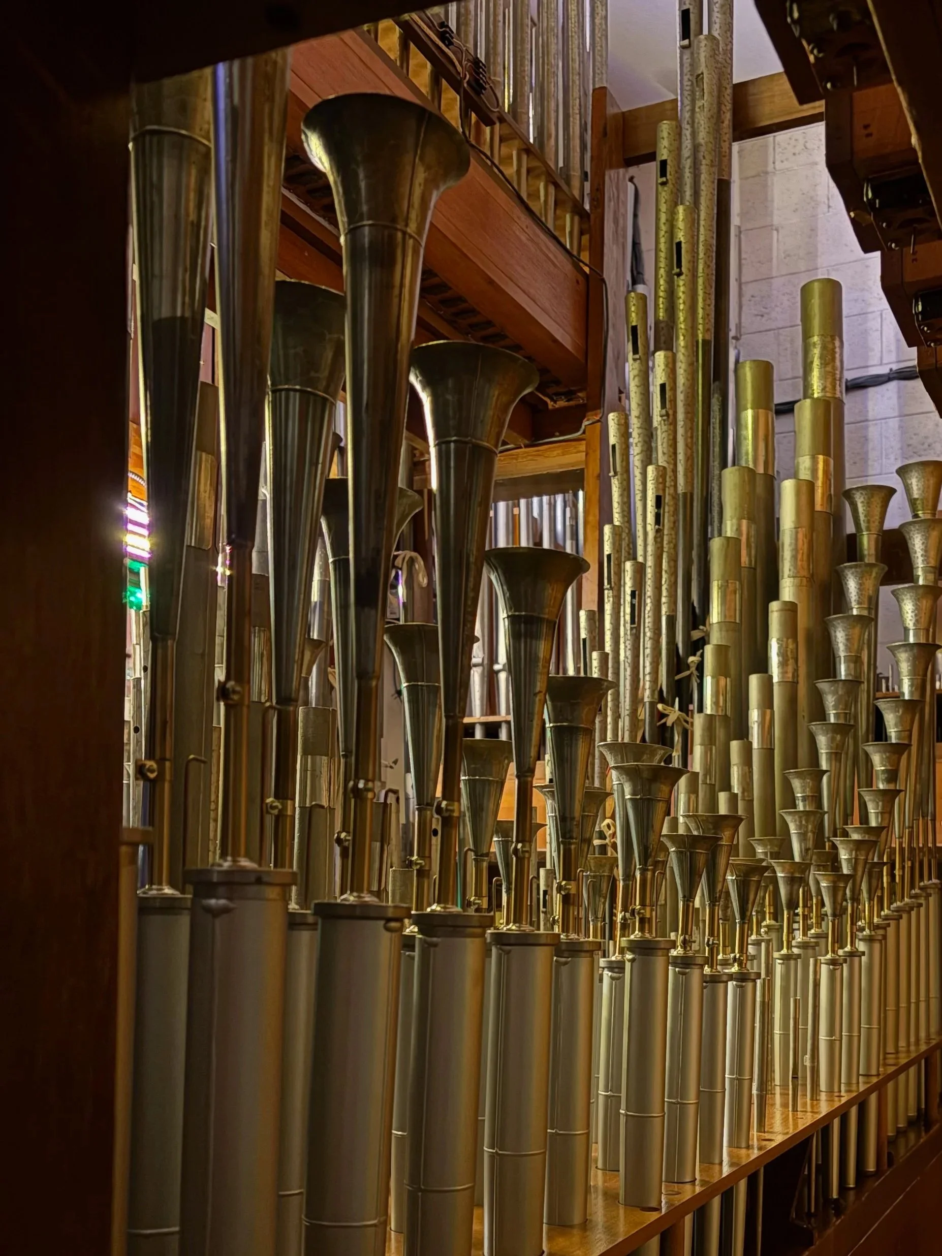 A view of an organ pipe room, with several sets of pipes on display, including the pipe organ equivalent of a saxophone.