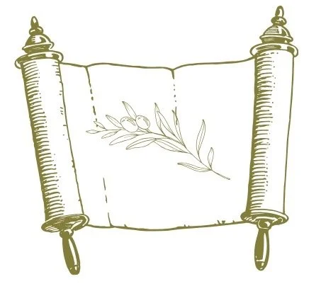 Green and white graphic of a scroll with a sprig of olive leaves lying across it.