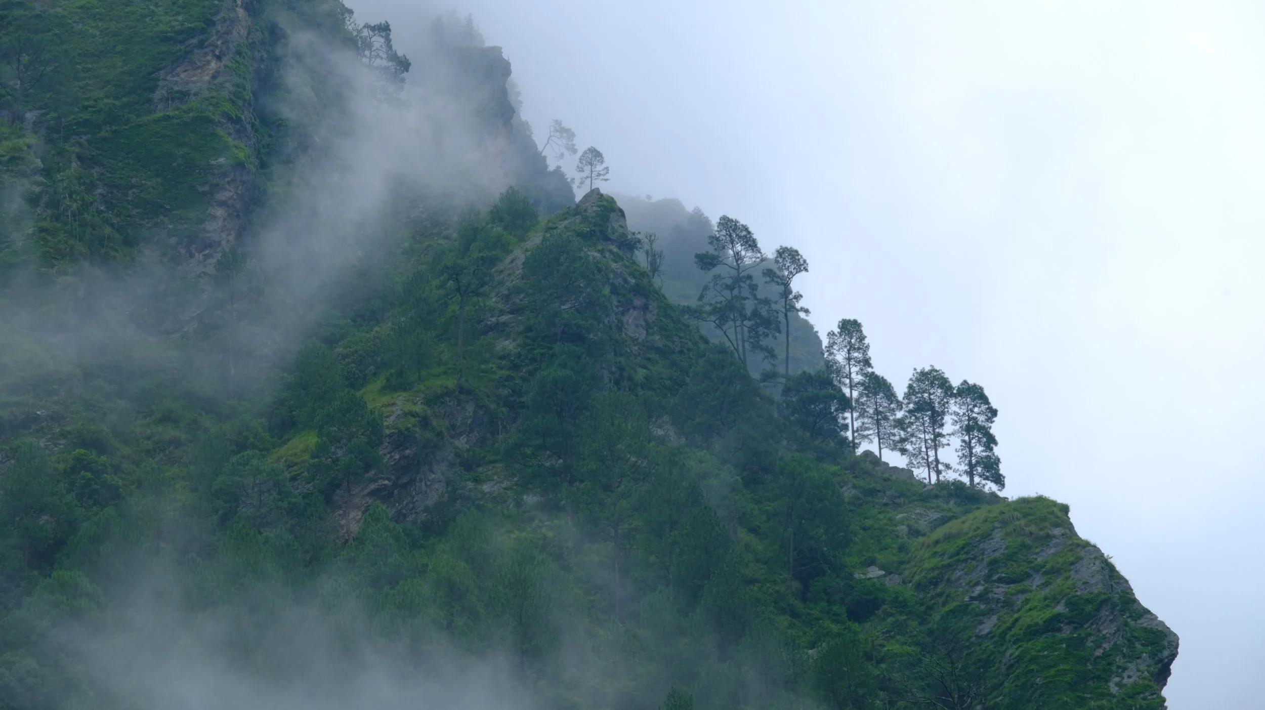 DSCF4420.JPG
