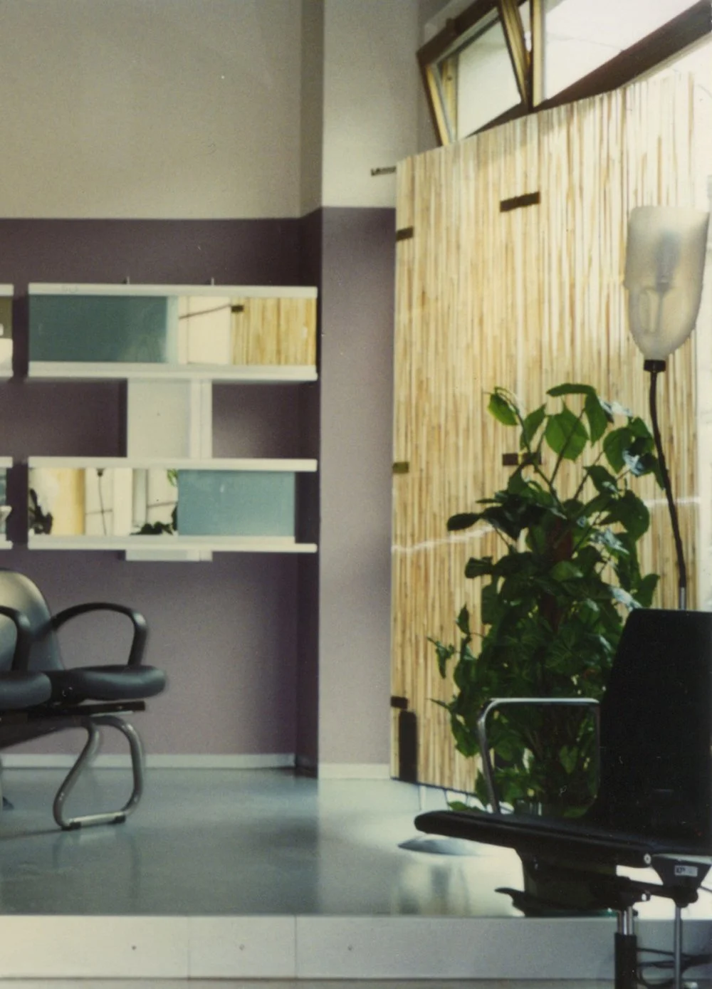 Interno di un ufficio con sedie, scaffalature, pianta ornamentale e lampada da terra.