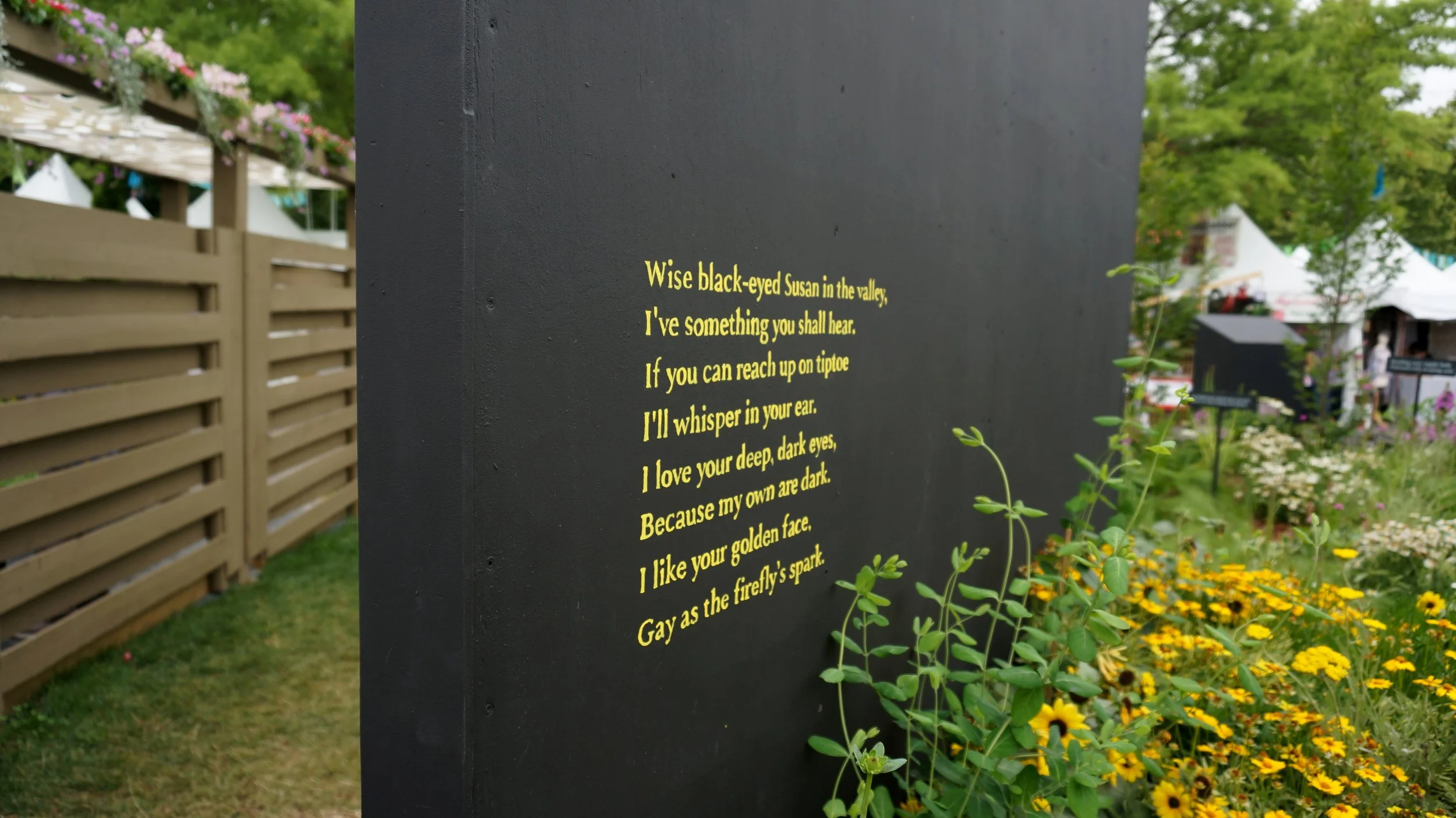DSC00445.jpg
