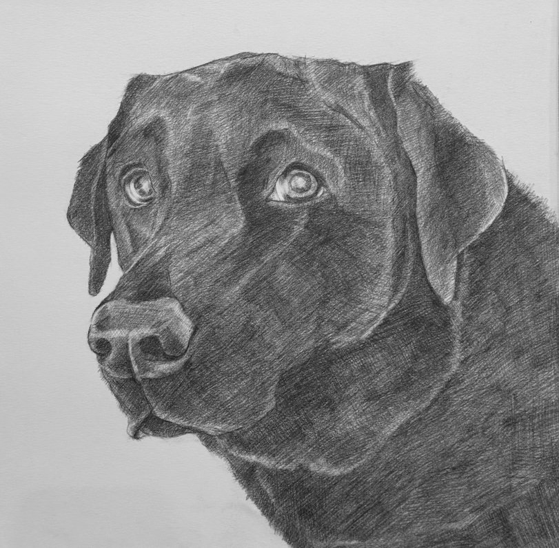 Lola | View 2