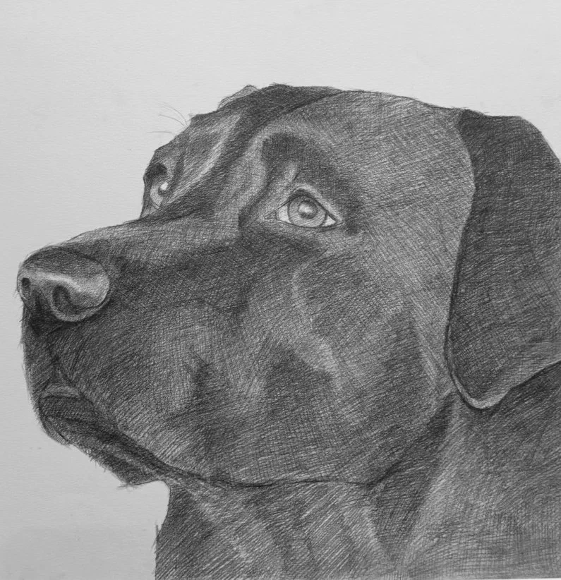 Lola | View 3