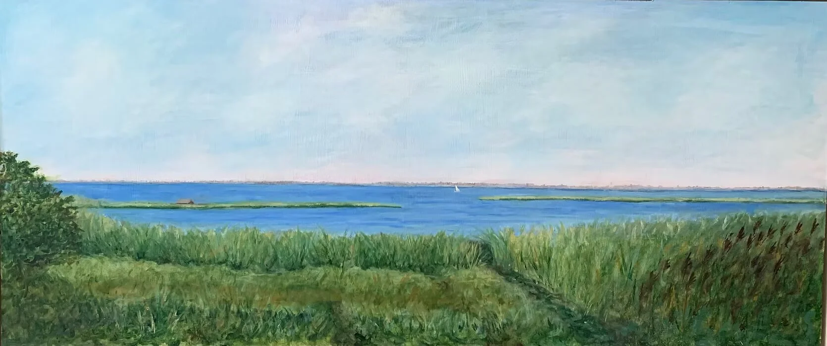 Bay Breeze