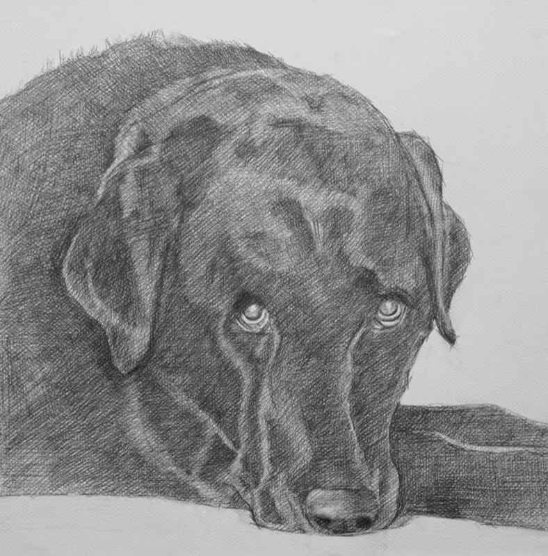 Lola | View 1