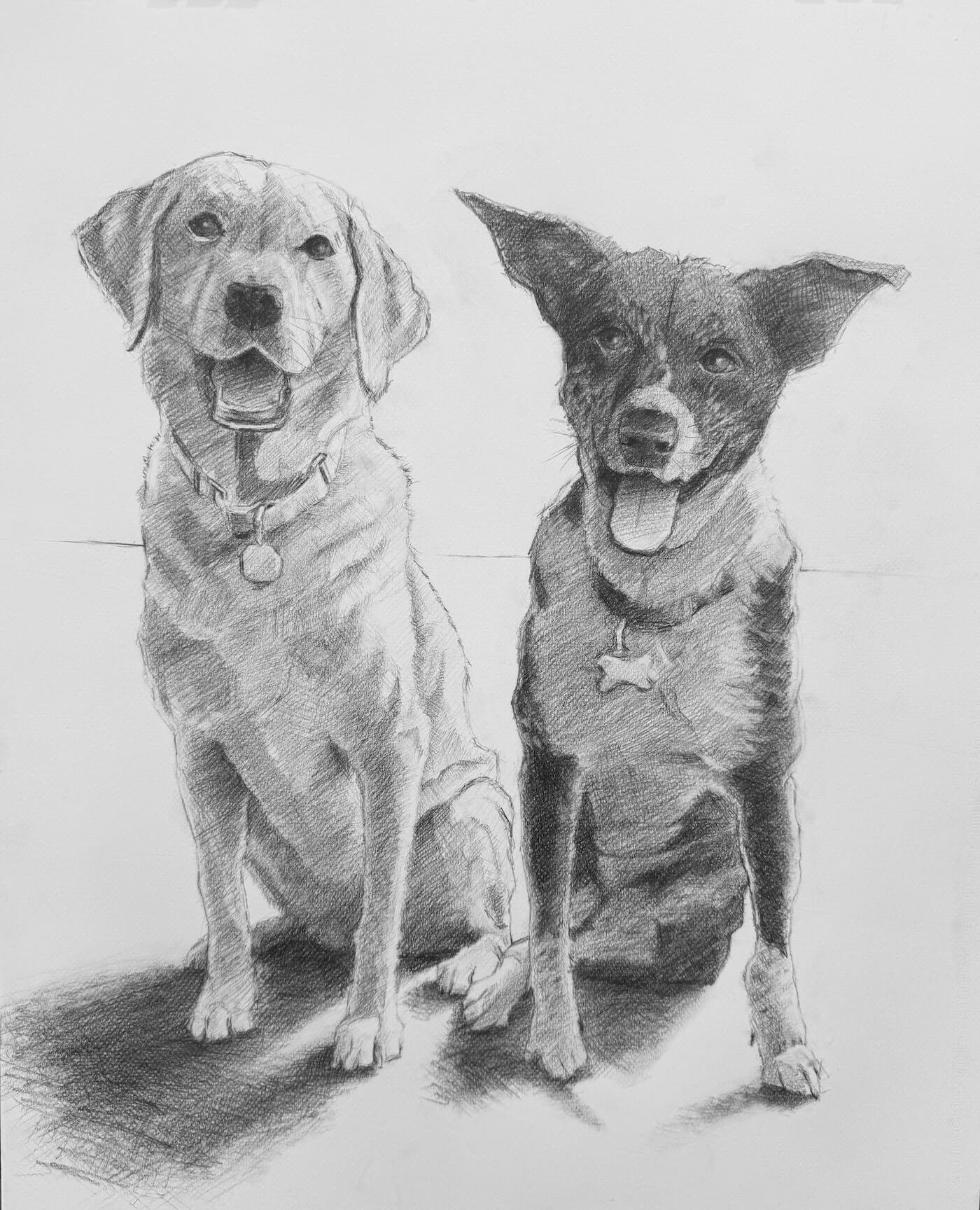 Macie & Cookie