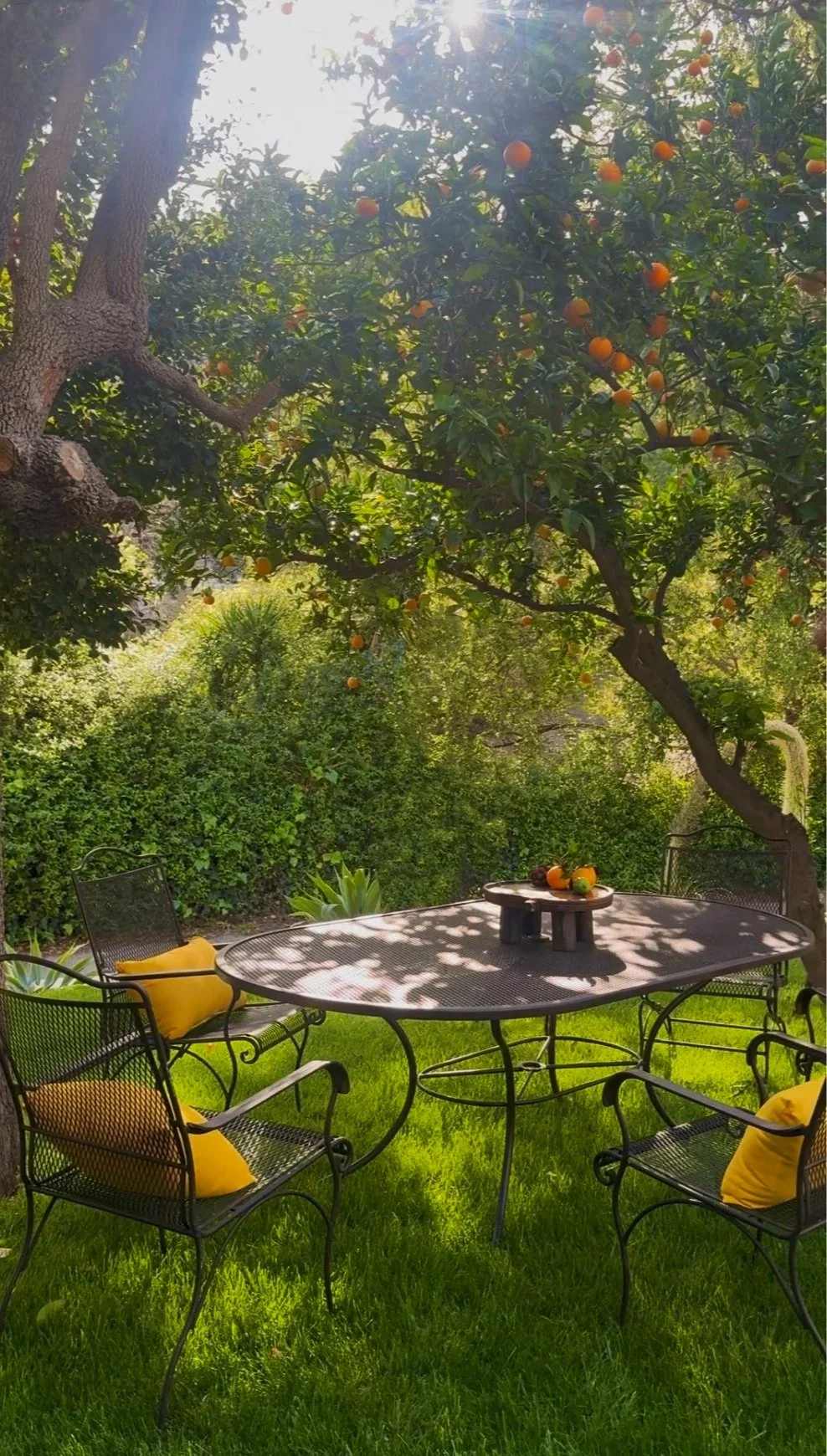 yellow_chairs.jpg