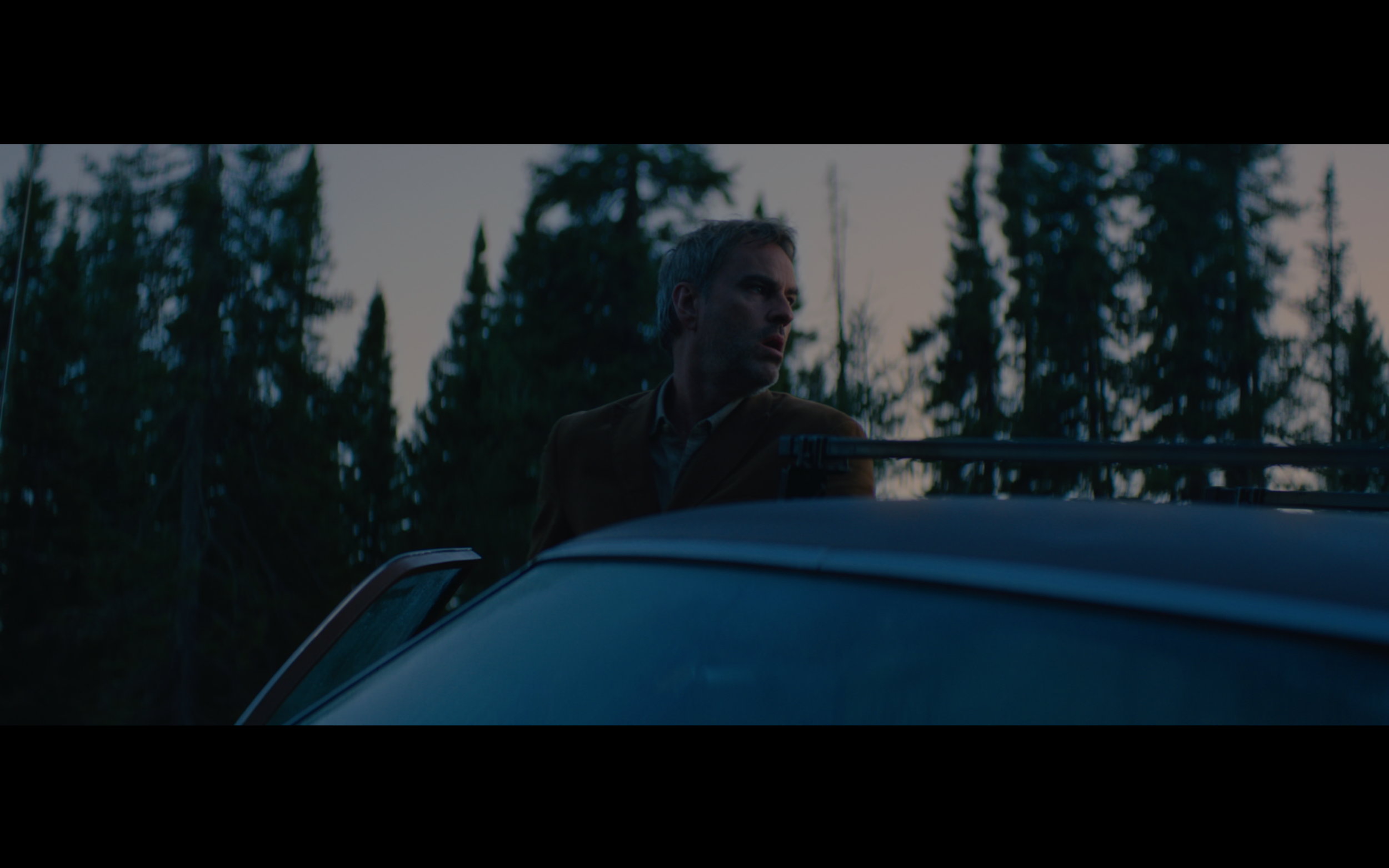 cinema-umdv-06.png