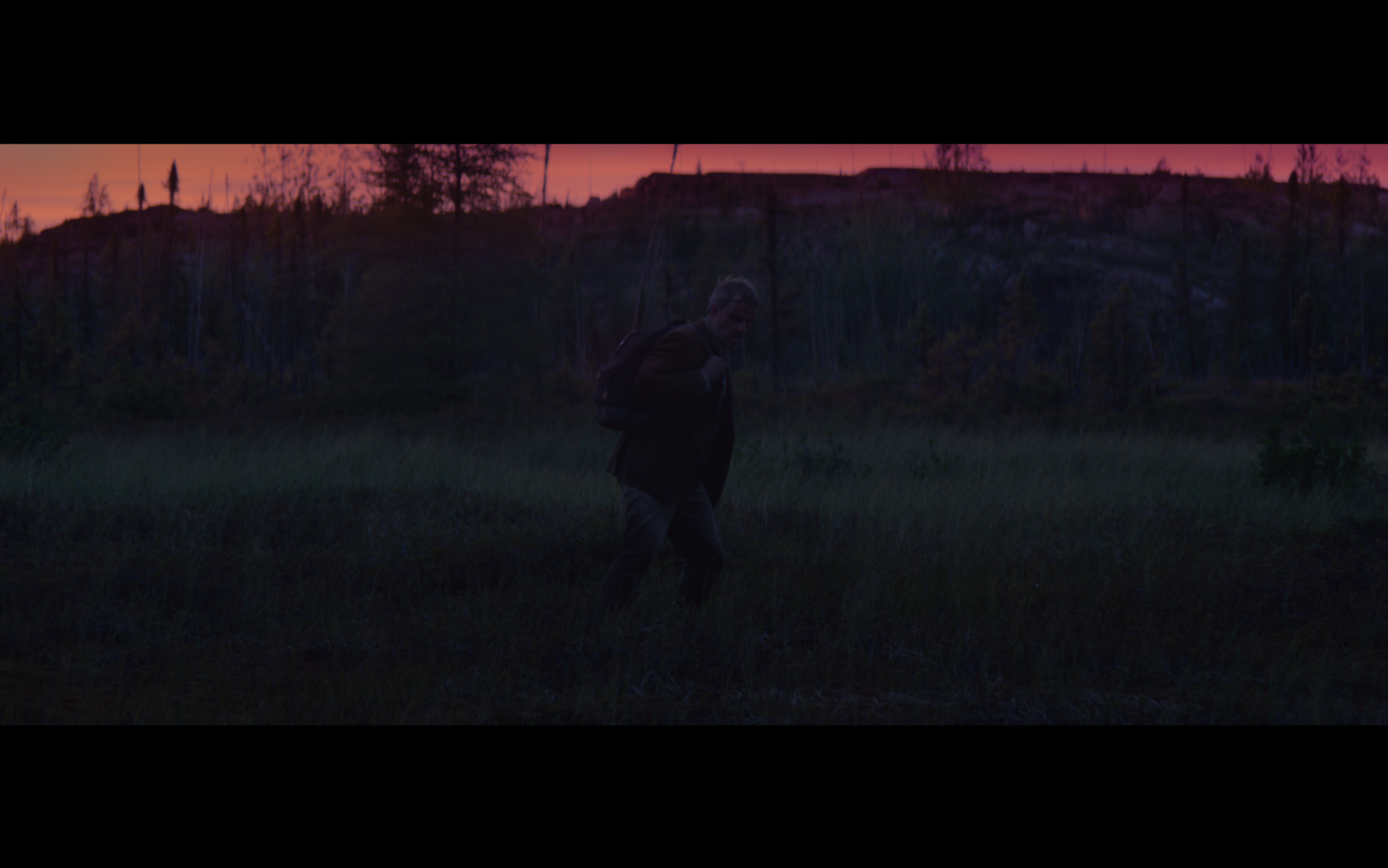 cinema-umdv-08.png