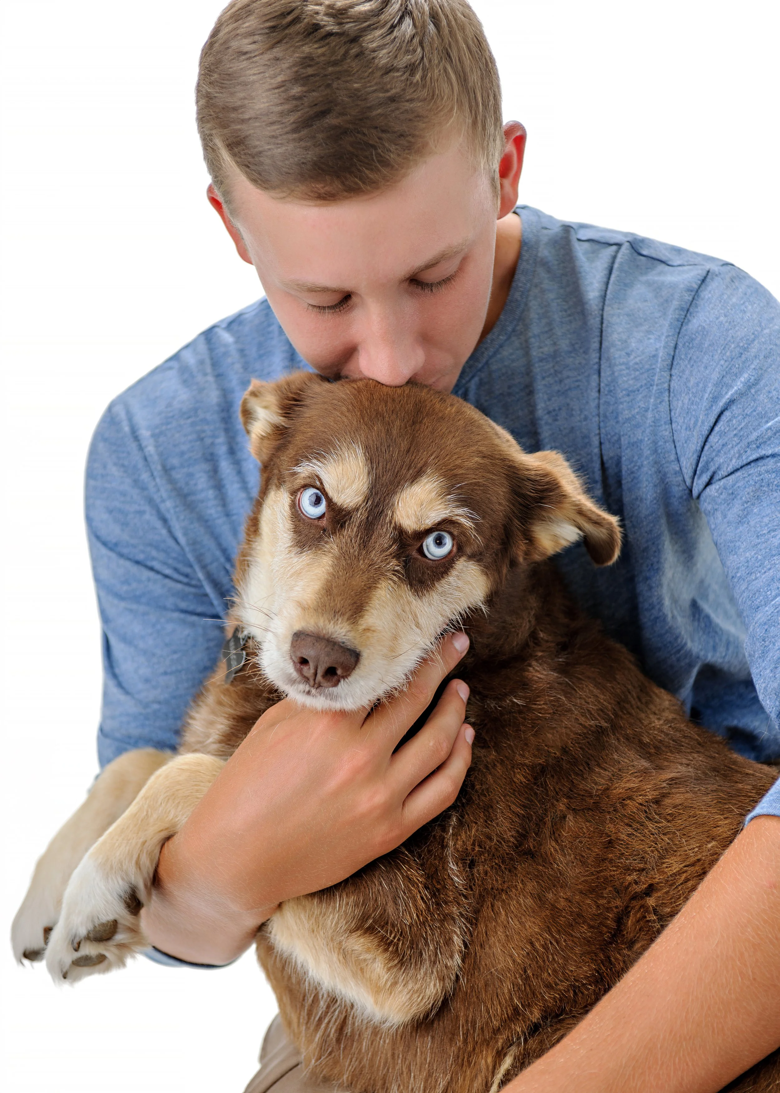 A young man in a gray shirt holds a brown and white husky puppy with blue eyes in his arms. The man is kissing the puppy on its head, and the puppy is looking directly at the camera.