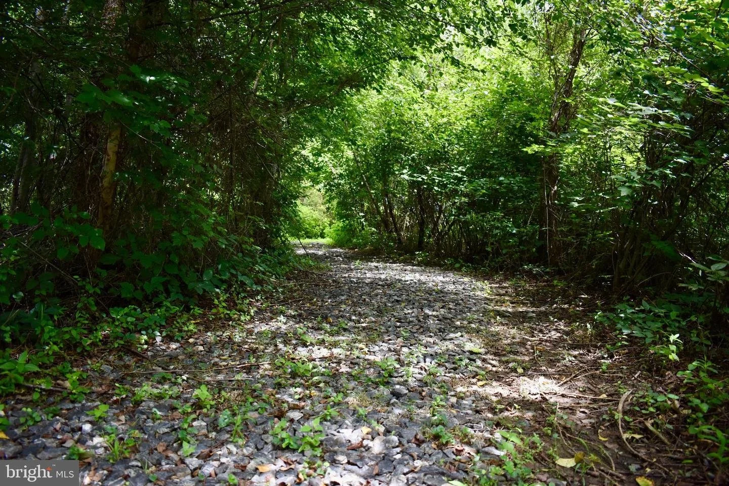 Lot 26 Lands End Dr, Orange, VA