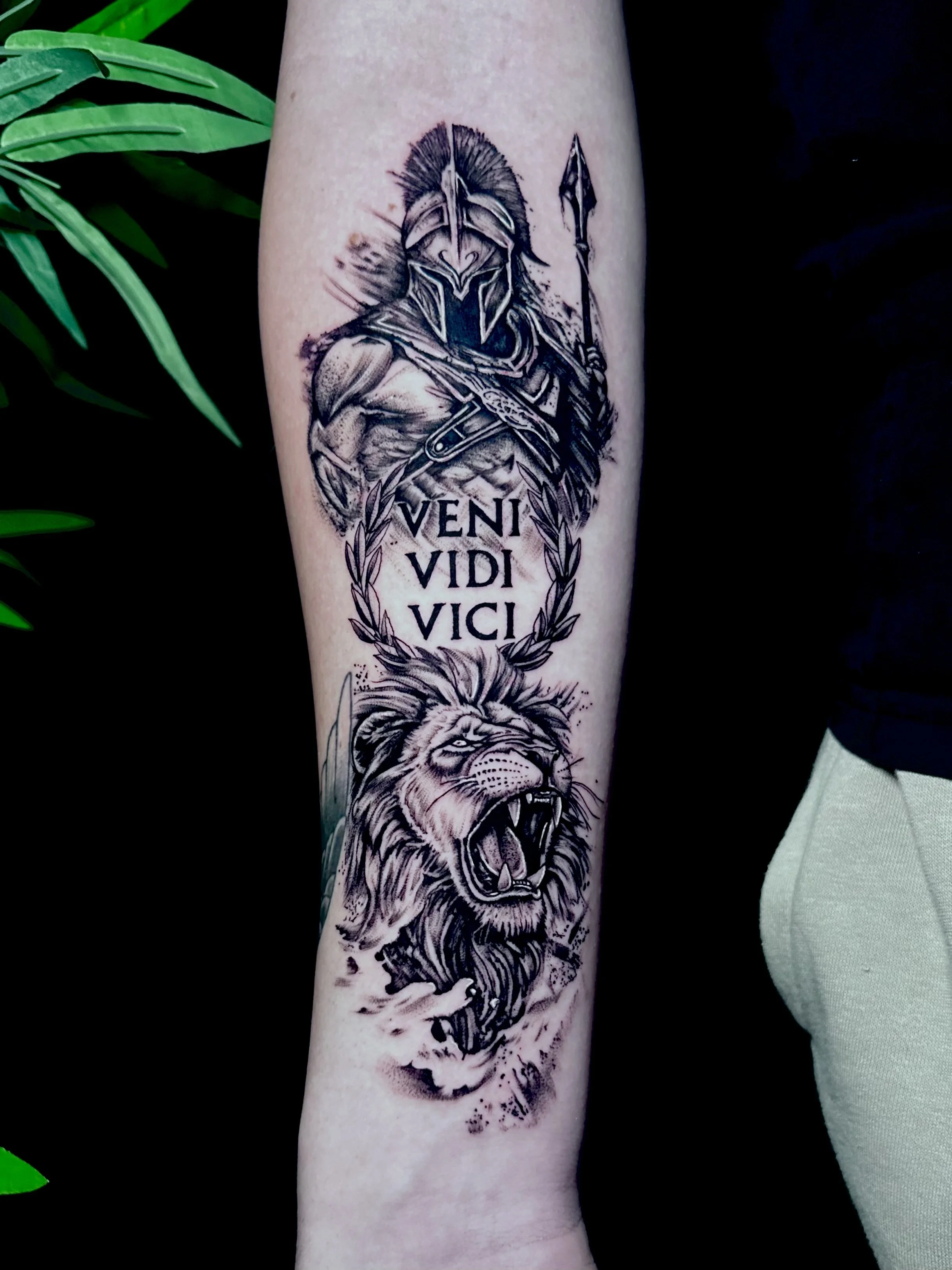 Tattoo of a fierce lion's head at the bottom, a warrior in armor and helmet at the top, with a Latin inscription 'Veni Vidi Vici' between them, all in black ink.