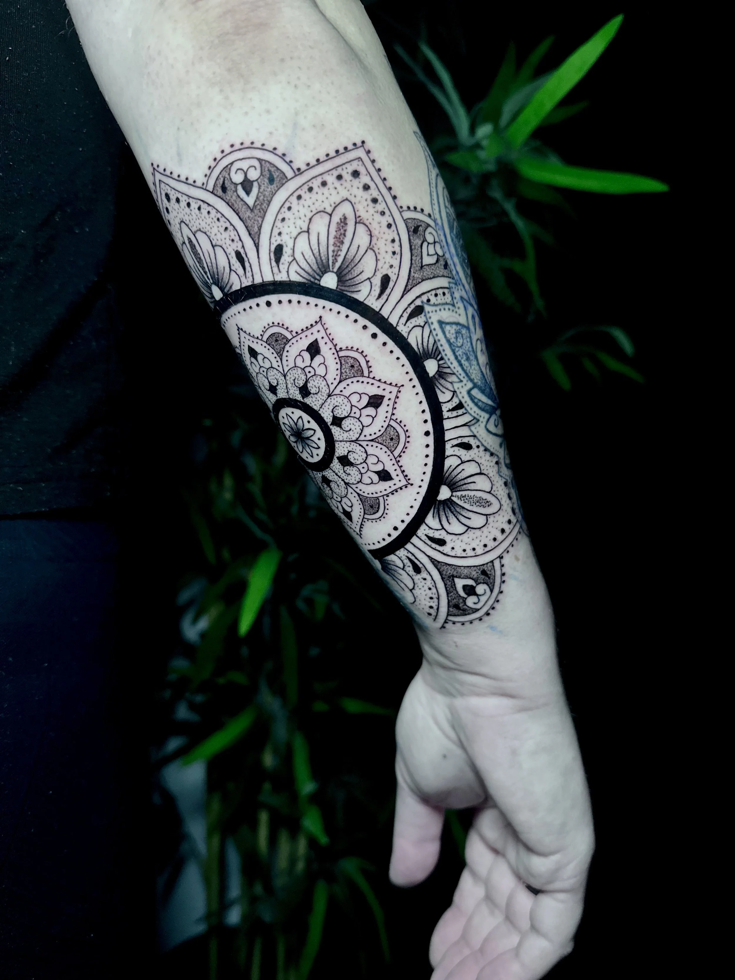 A tattooed arm featuring a detailed black and gray mandala design with floral and ornate patterns, alongside a plant with green leaves in the background.