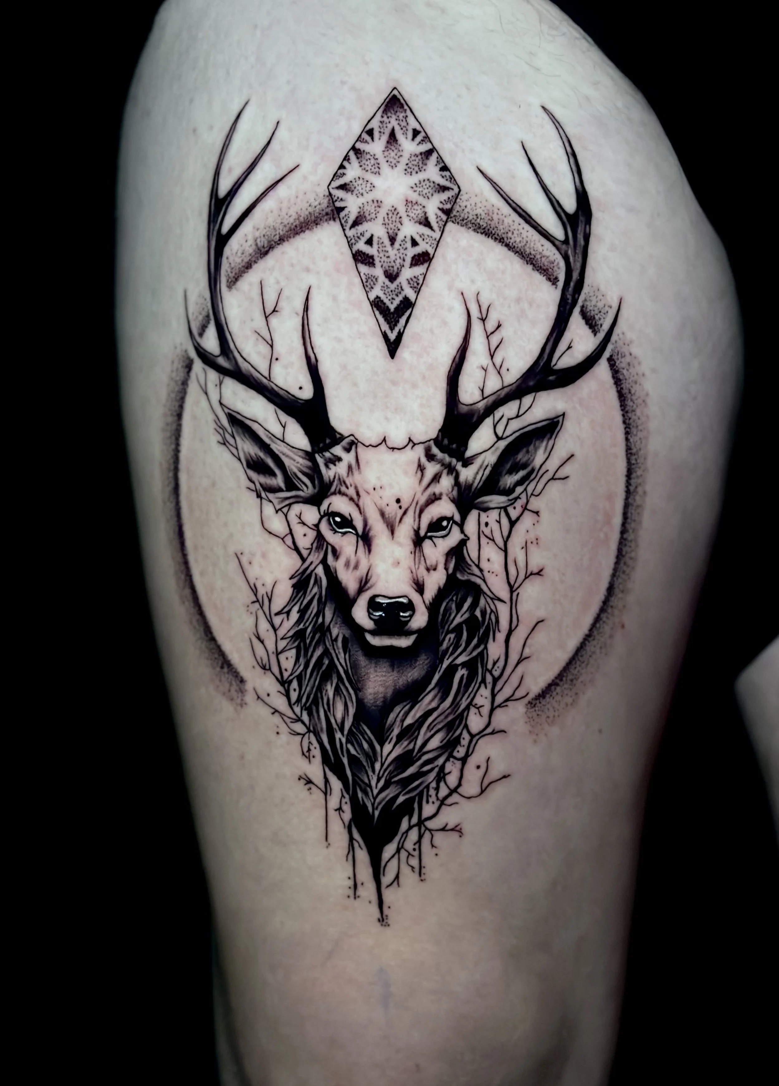 Tattoo of a deer's head with large antlers, a geometric diamond shape with intricate patterns above the deer, and tree branches around the deer, on a person's skin.
