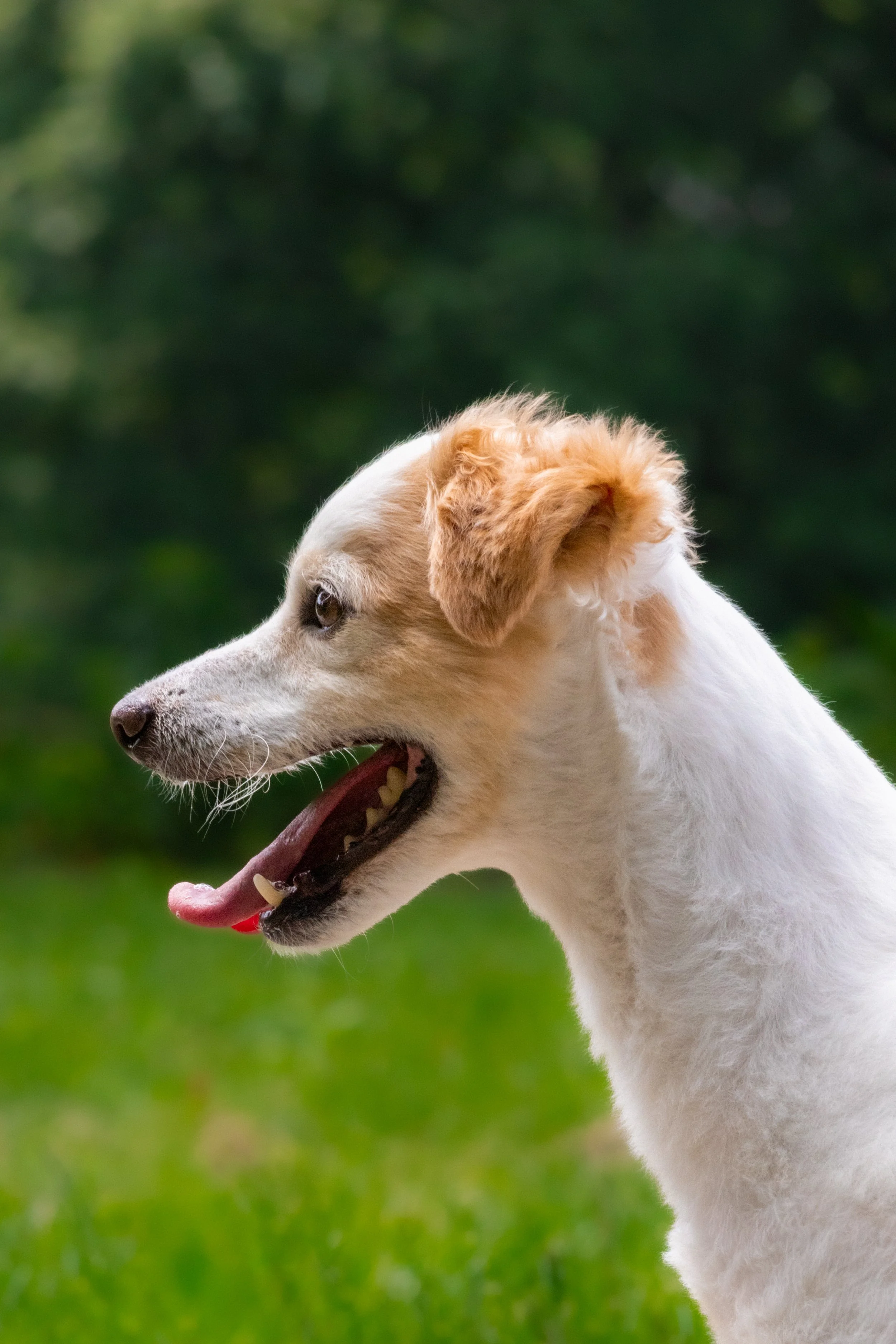 IMG_4928.jpg
