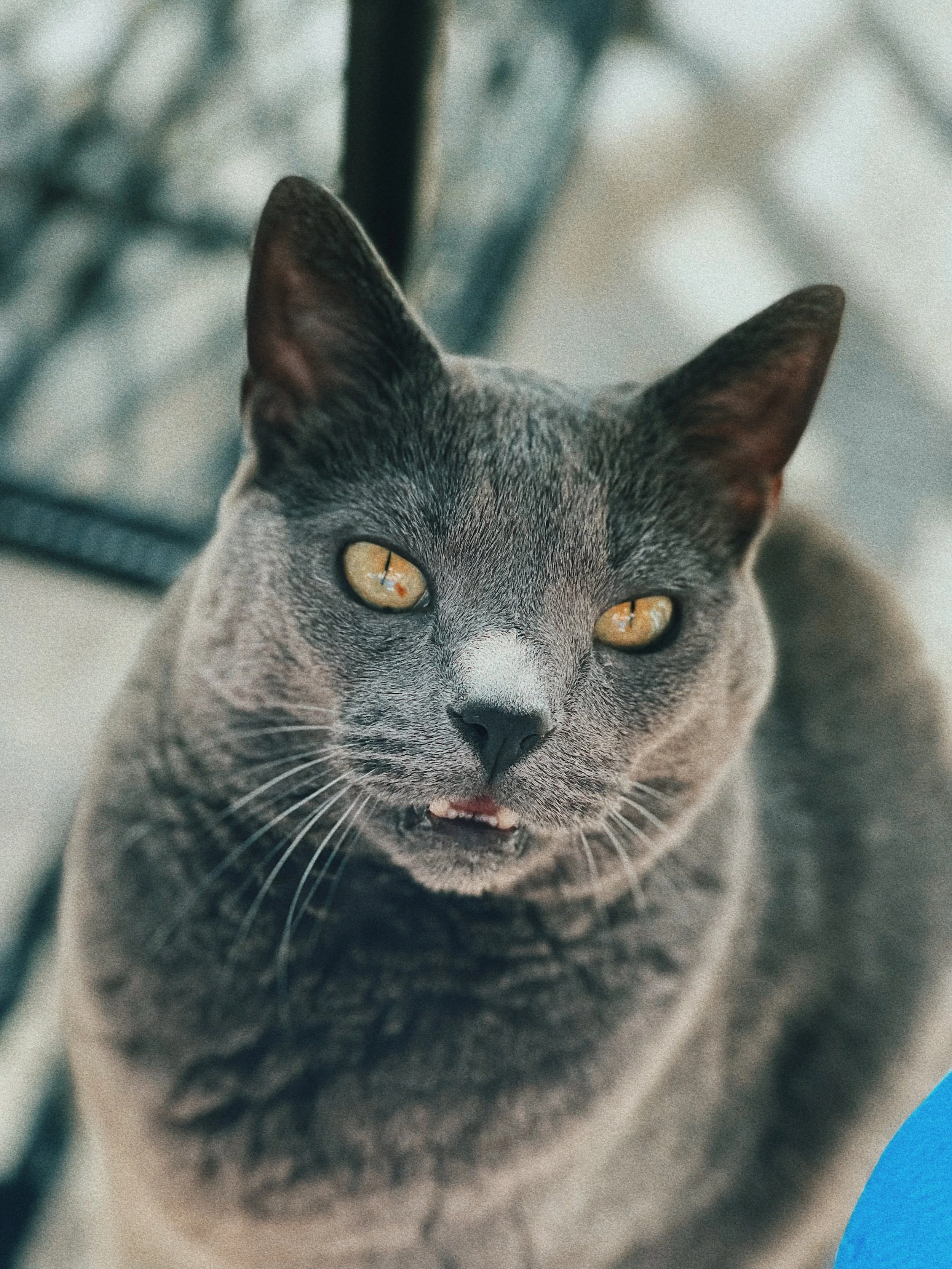 A707473E-A073-470C-B234-C3F1DF5846BF.JPG