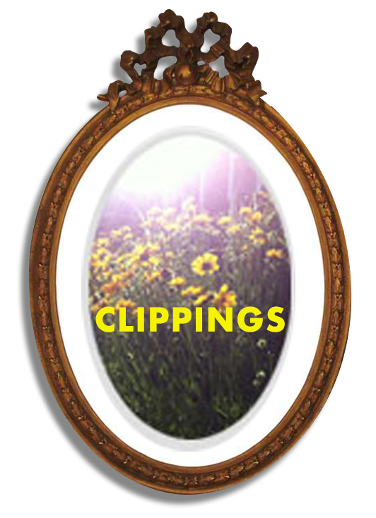 CLIPPINGS_O.png