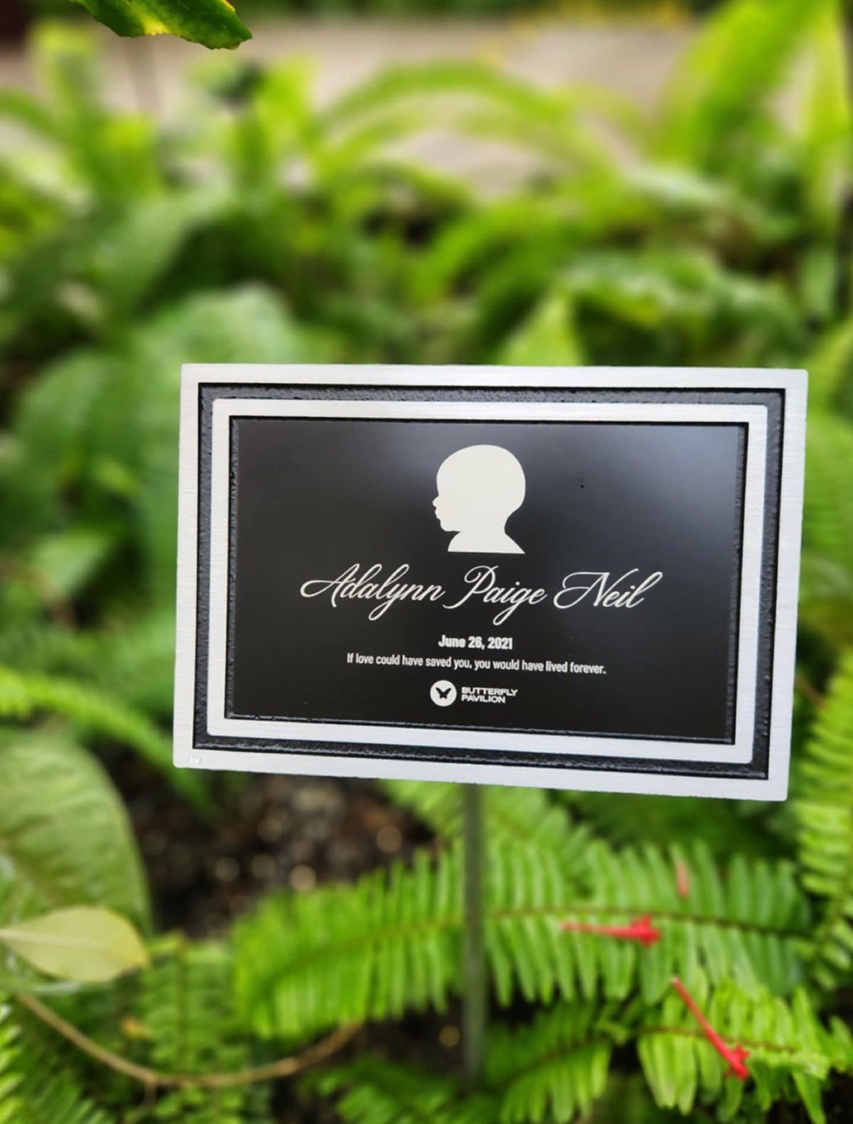 Signage Design & Illustration 