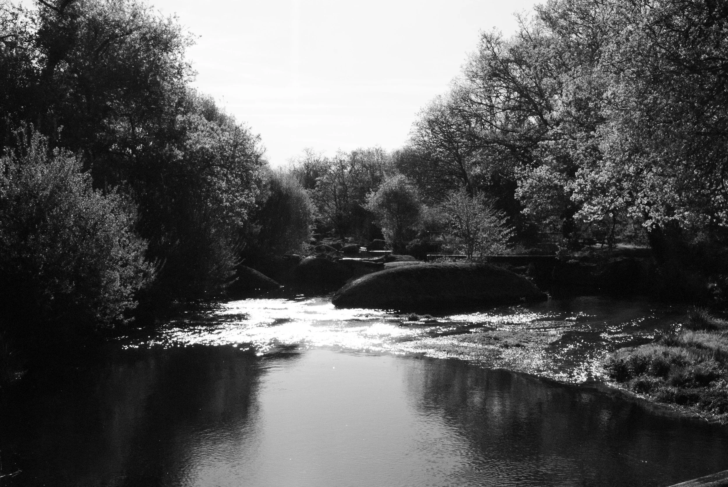 paisaje 1.jpg