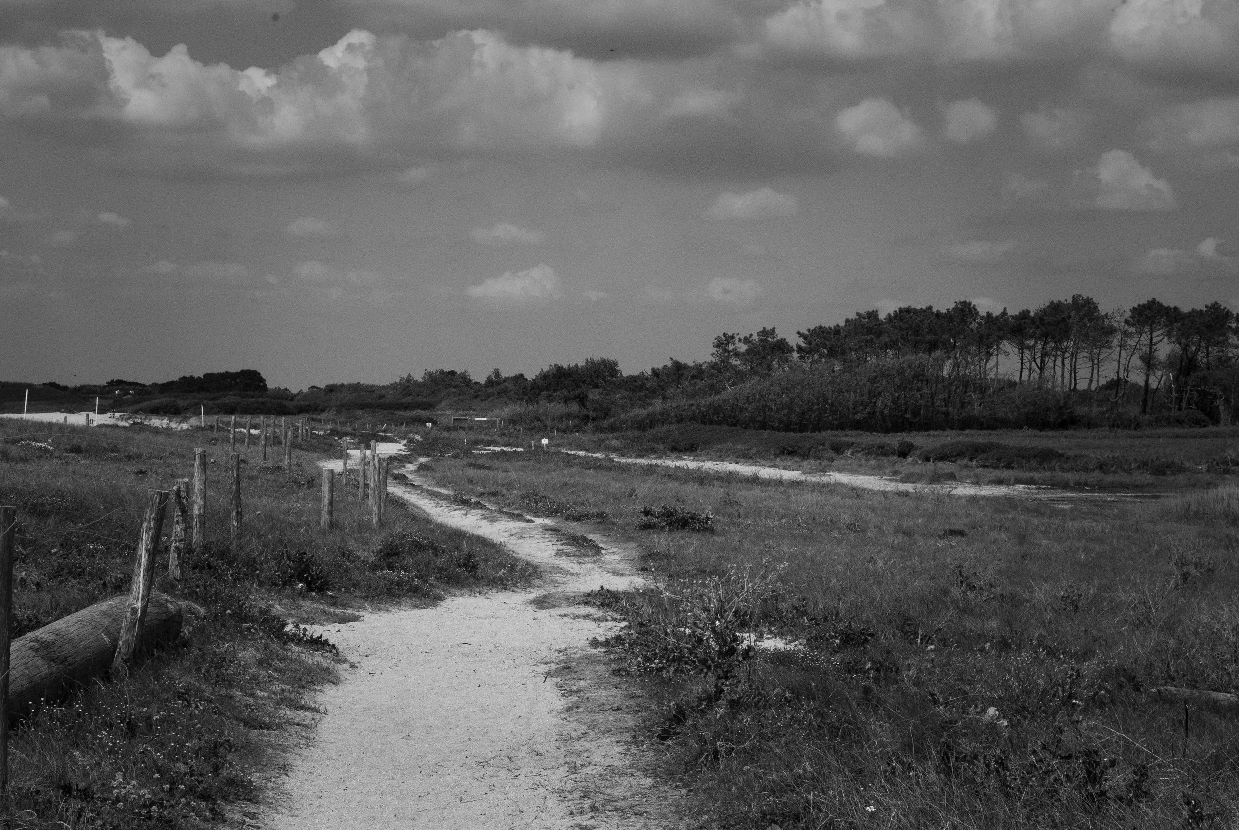 DSC_0070.jpg