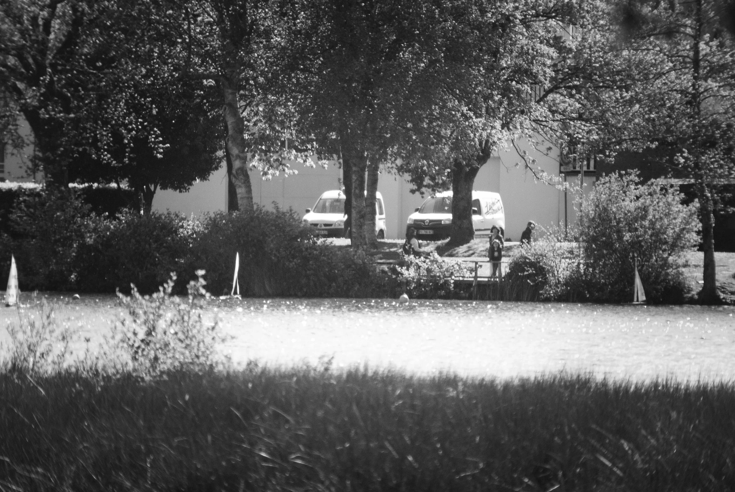 DSC_0072.jpg