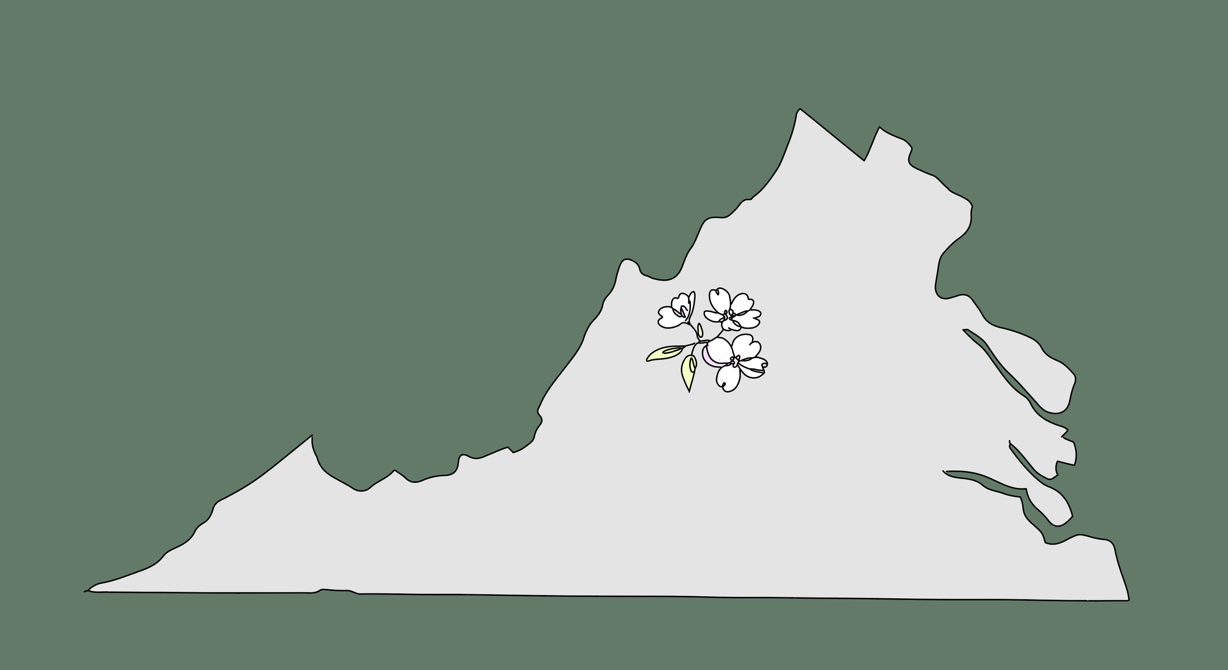 Dogwood Dermatology - Staunton Virginia