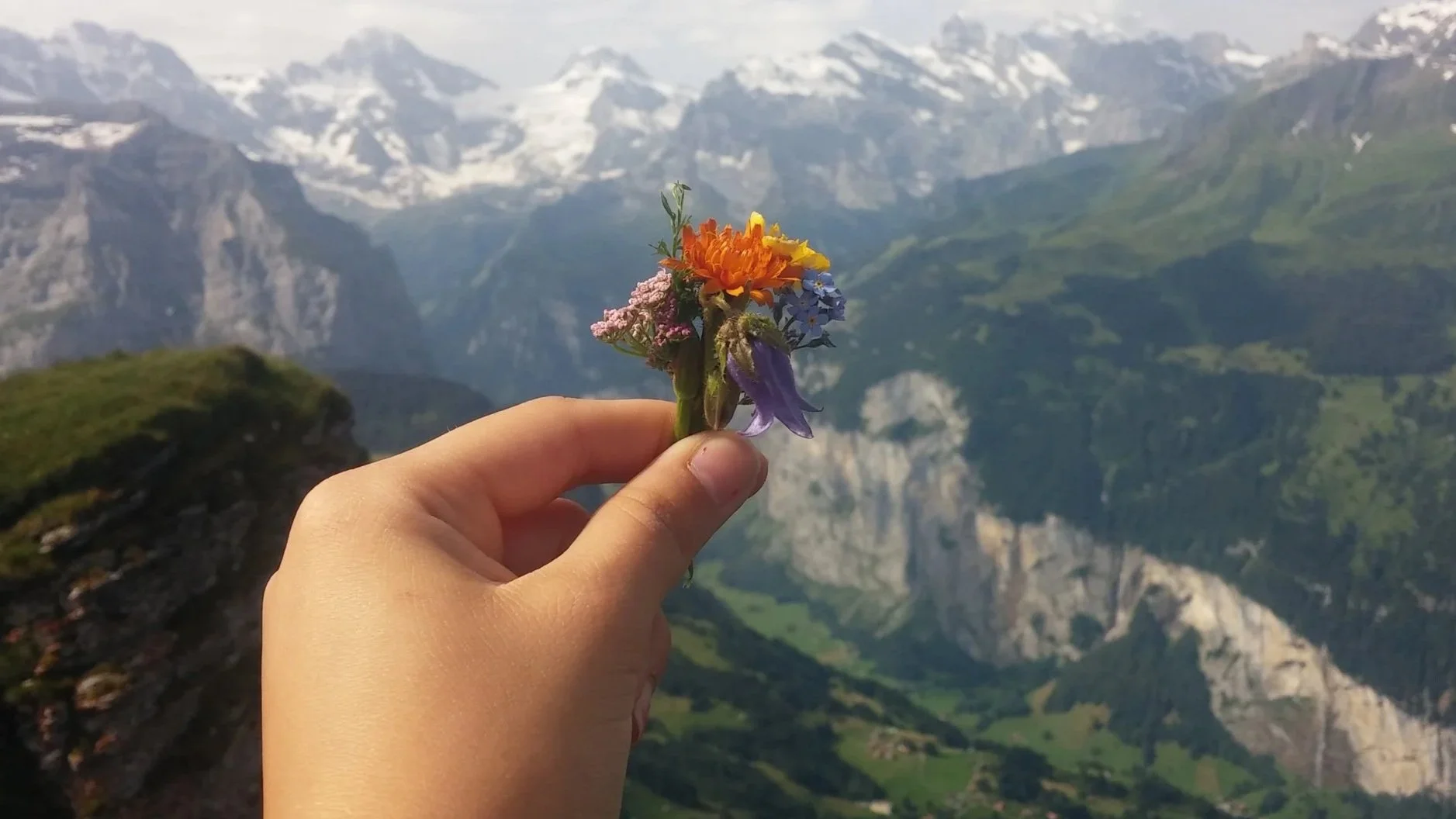 Hand holding colorful wildflowers against mountain backdrop representing hope and healing