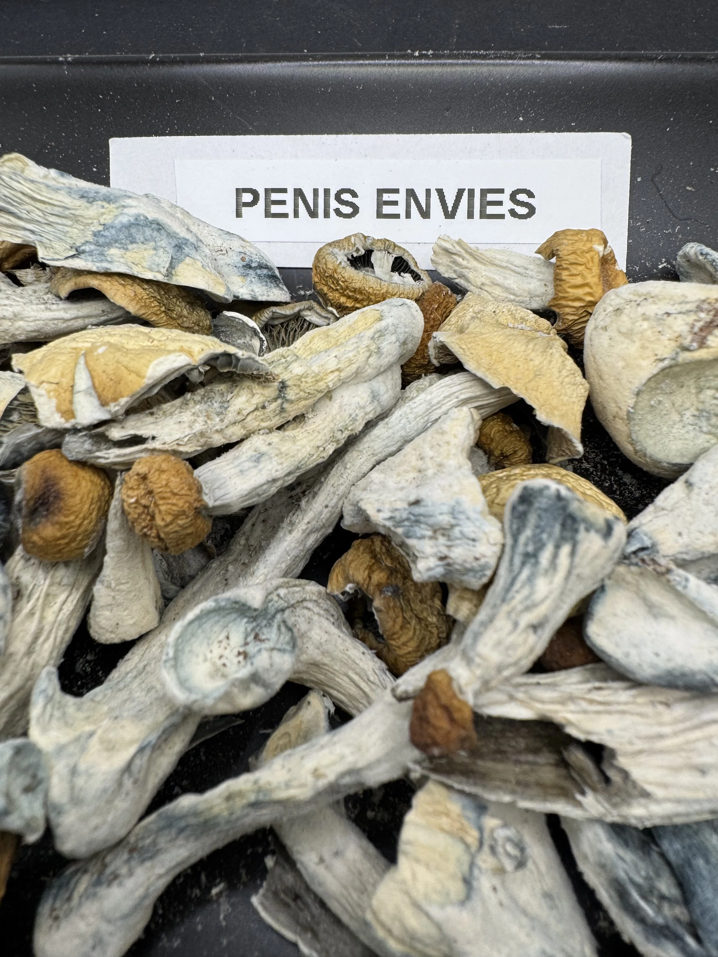 Penis envies 🍆