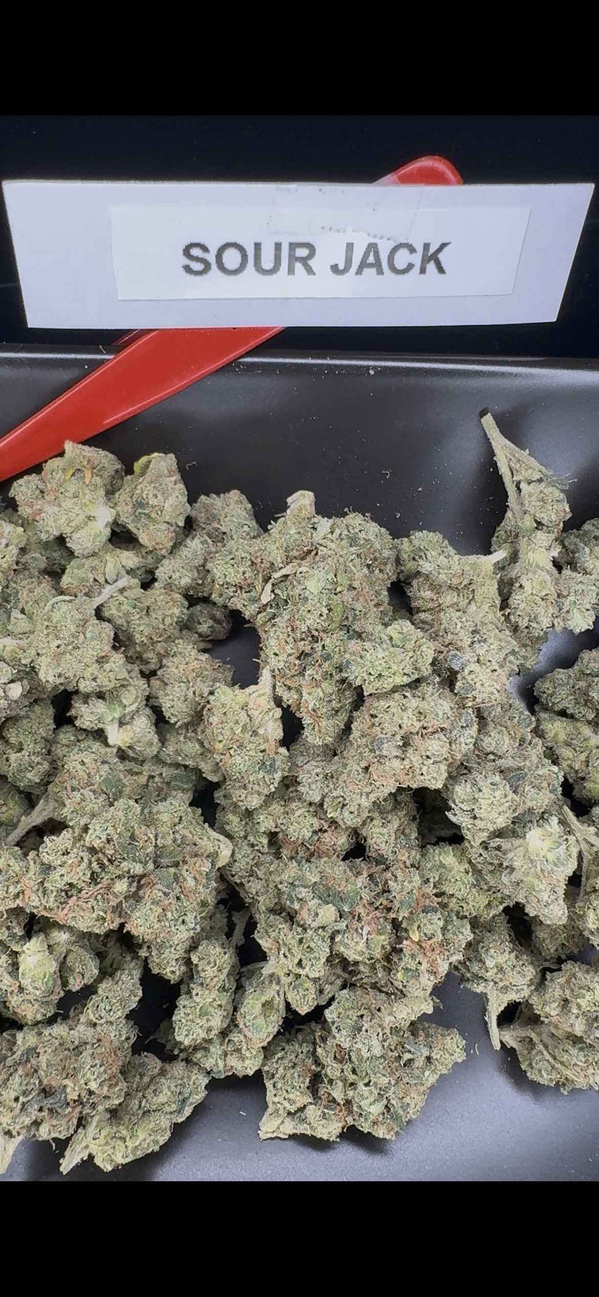 🍋 Sour jack 🐝