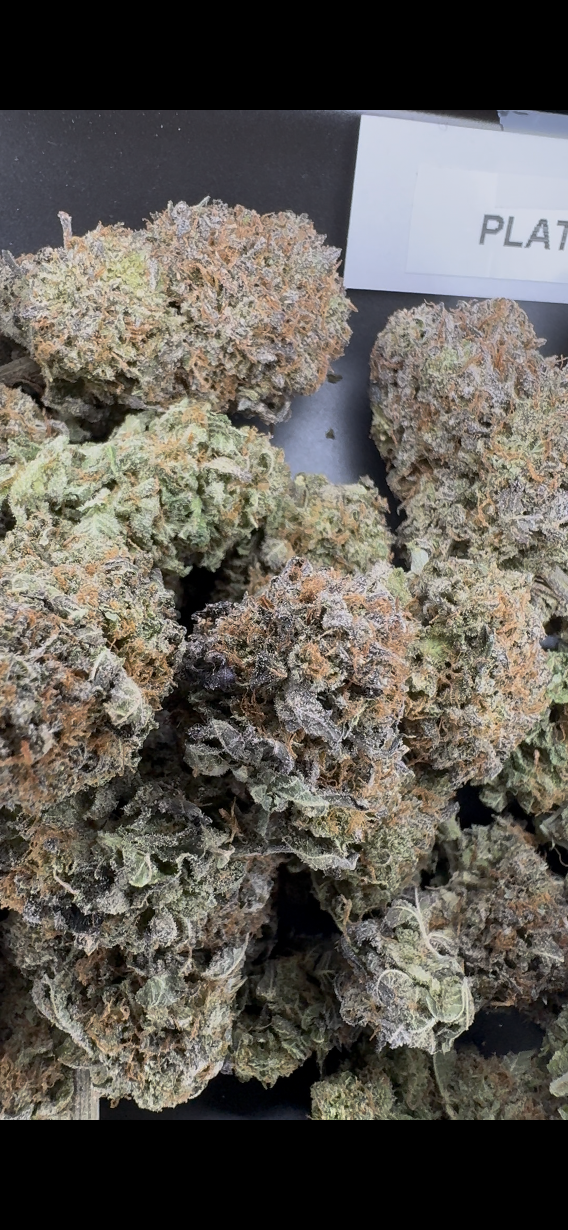 Platinum cookies 🍪