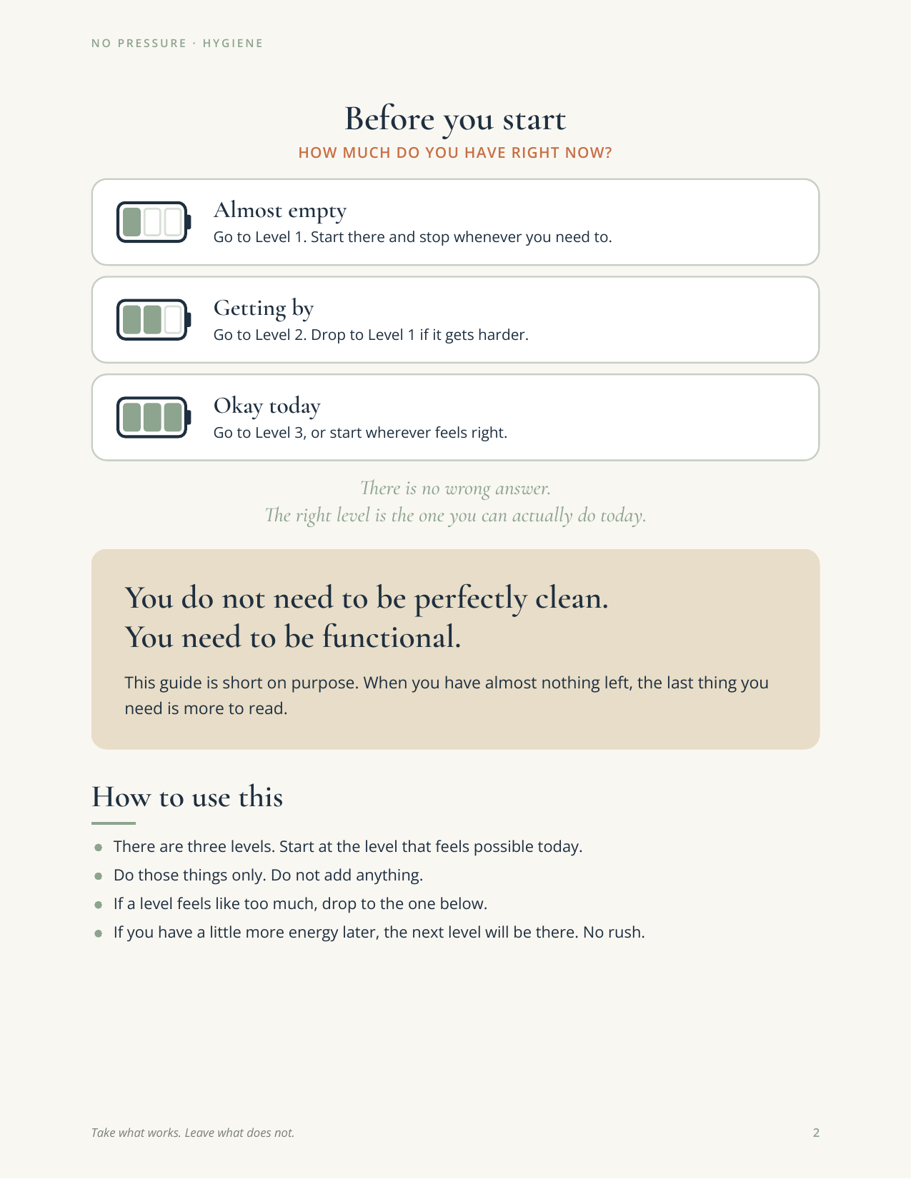 No_Pressure_Hygiene_p-2.png