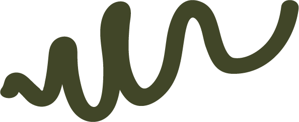 A dark green handwritten-style text reads 'wild' on a black background.