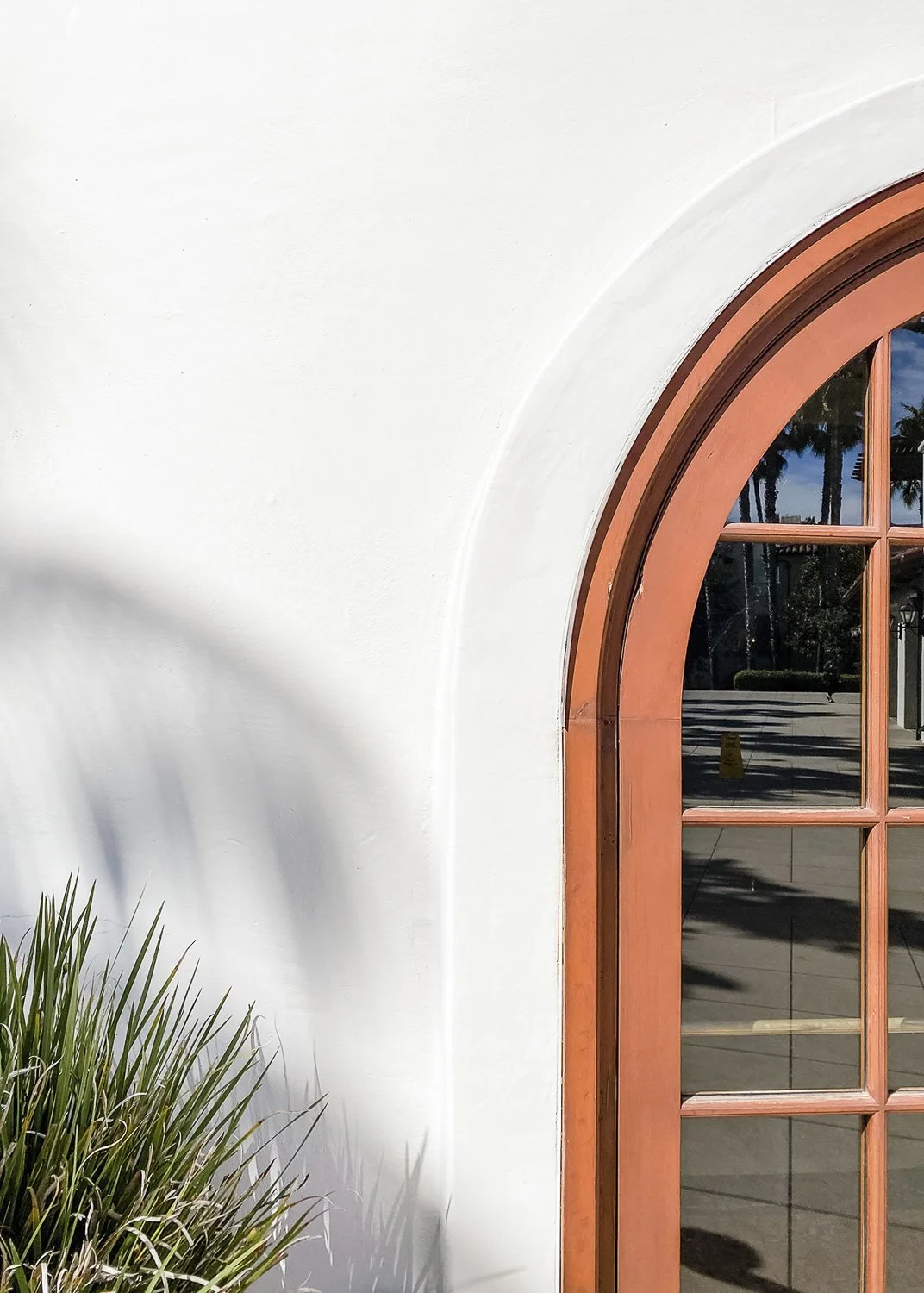 Close-up of a building with white stucco wall and arched wooden window, reflecting palm trees and outdoor scene.