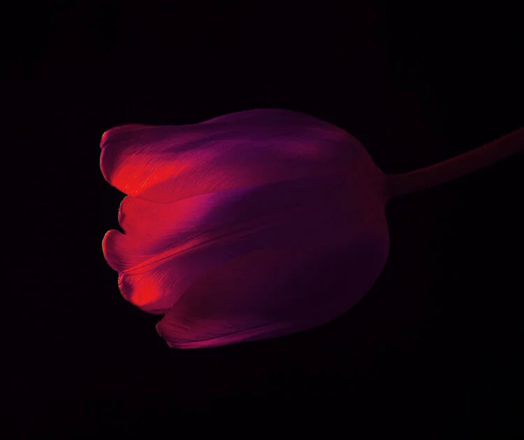 AdobeStock_329196391.jpg