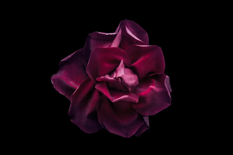 AdobeStock_101365349.jpg