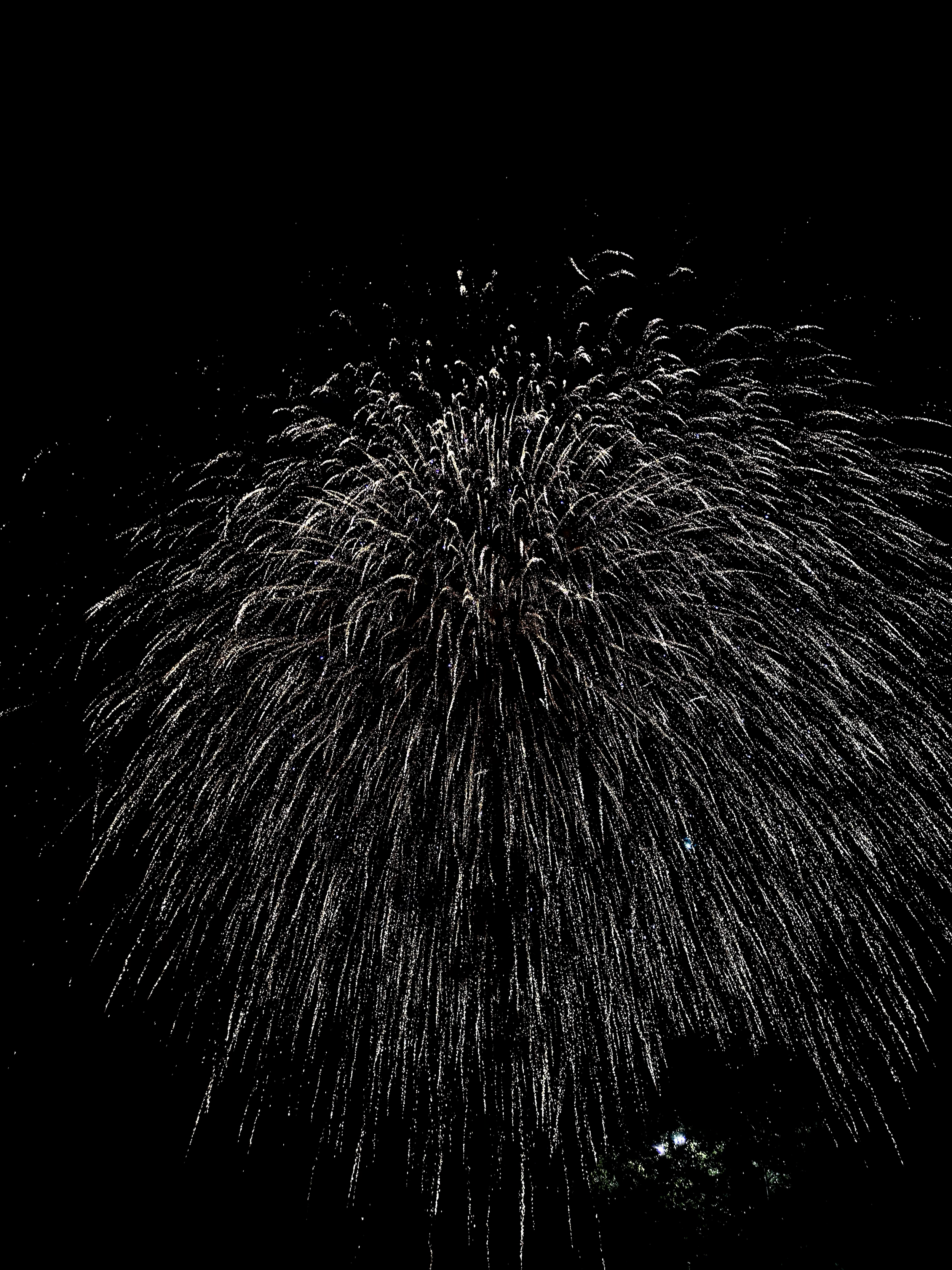 4th of July